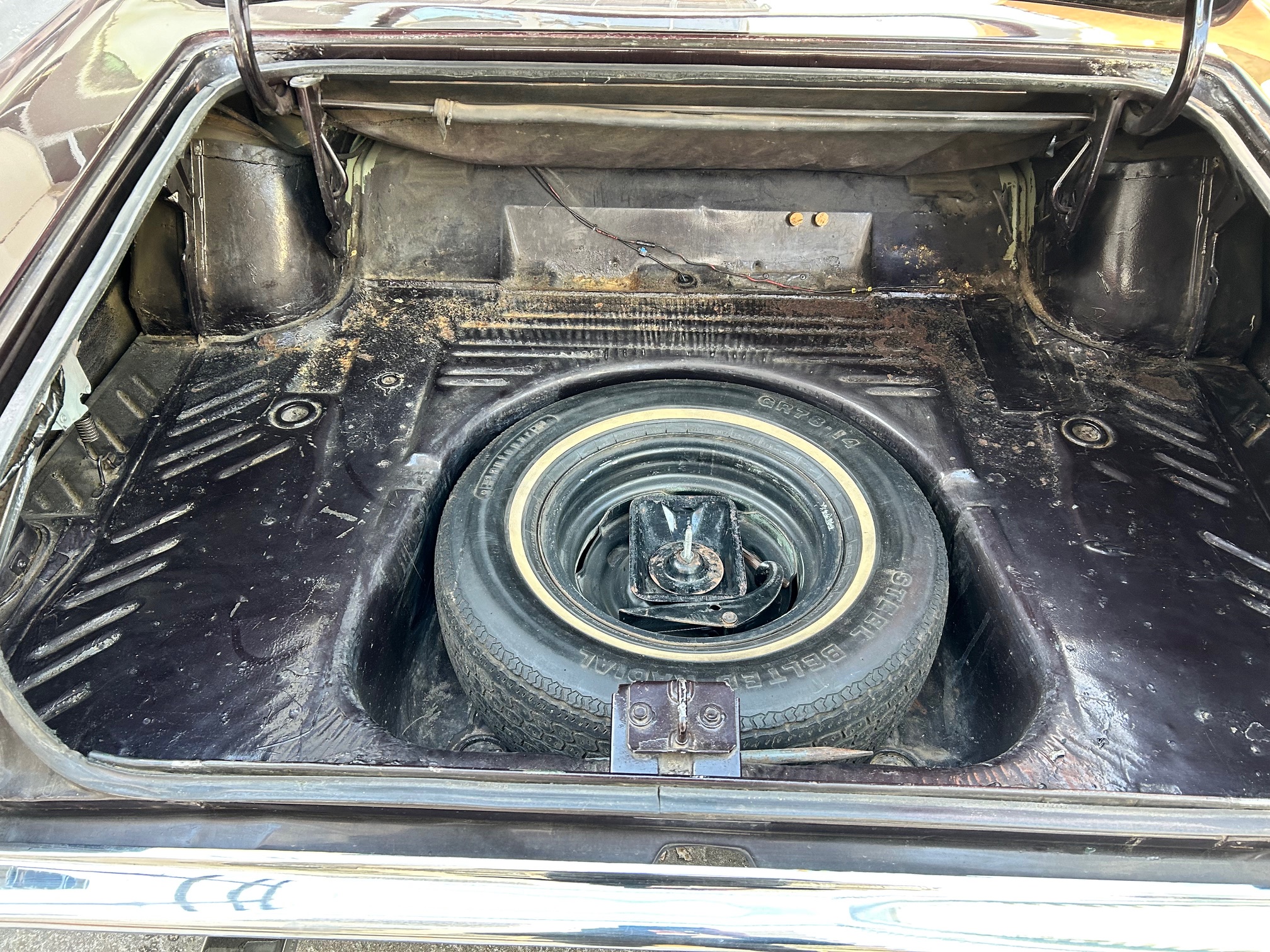 10 trunk2 Darren Wachtler 2024-02-27