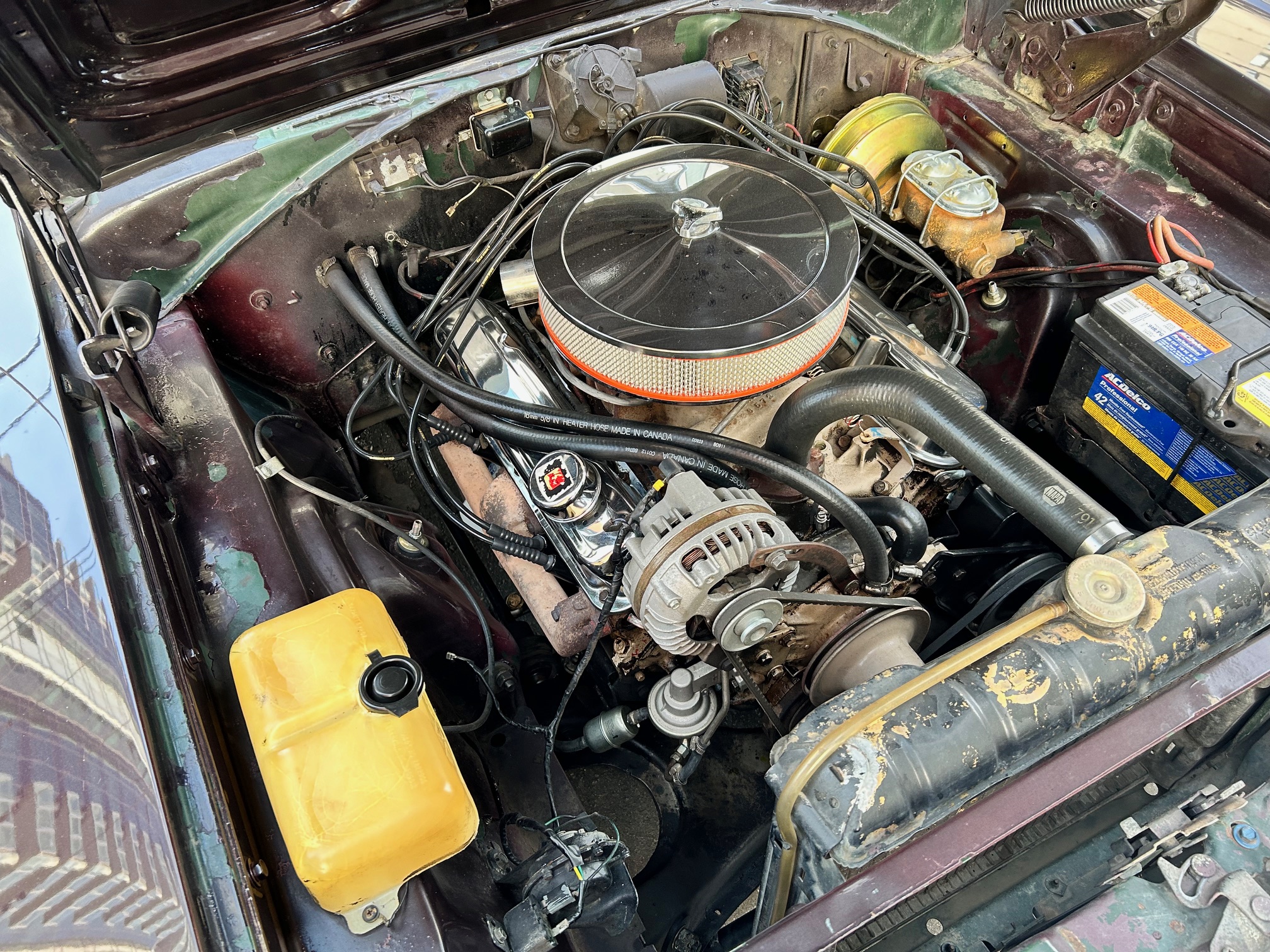 17 Engine bay 2 Darren Wachtler 2024-02-27