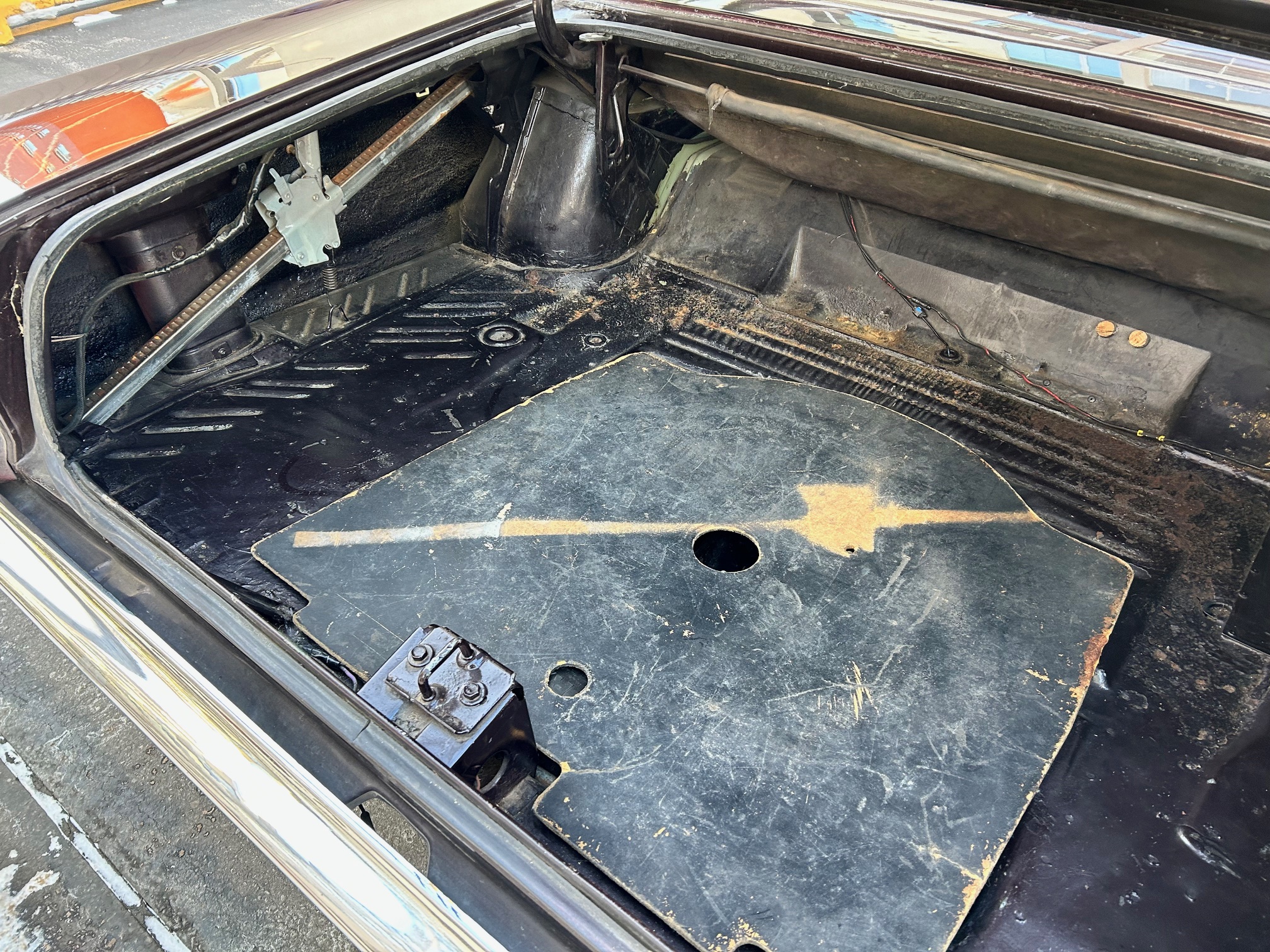 9 trunk Darren Wachtler 2024-02-27