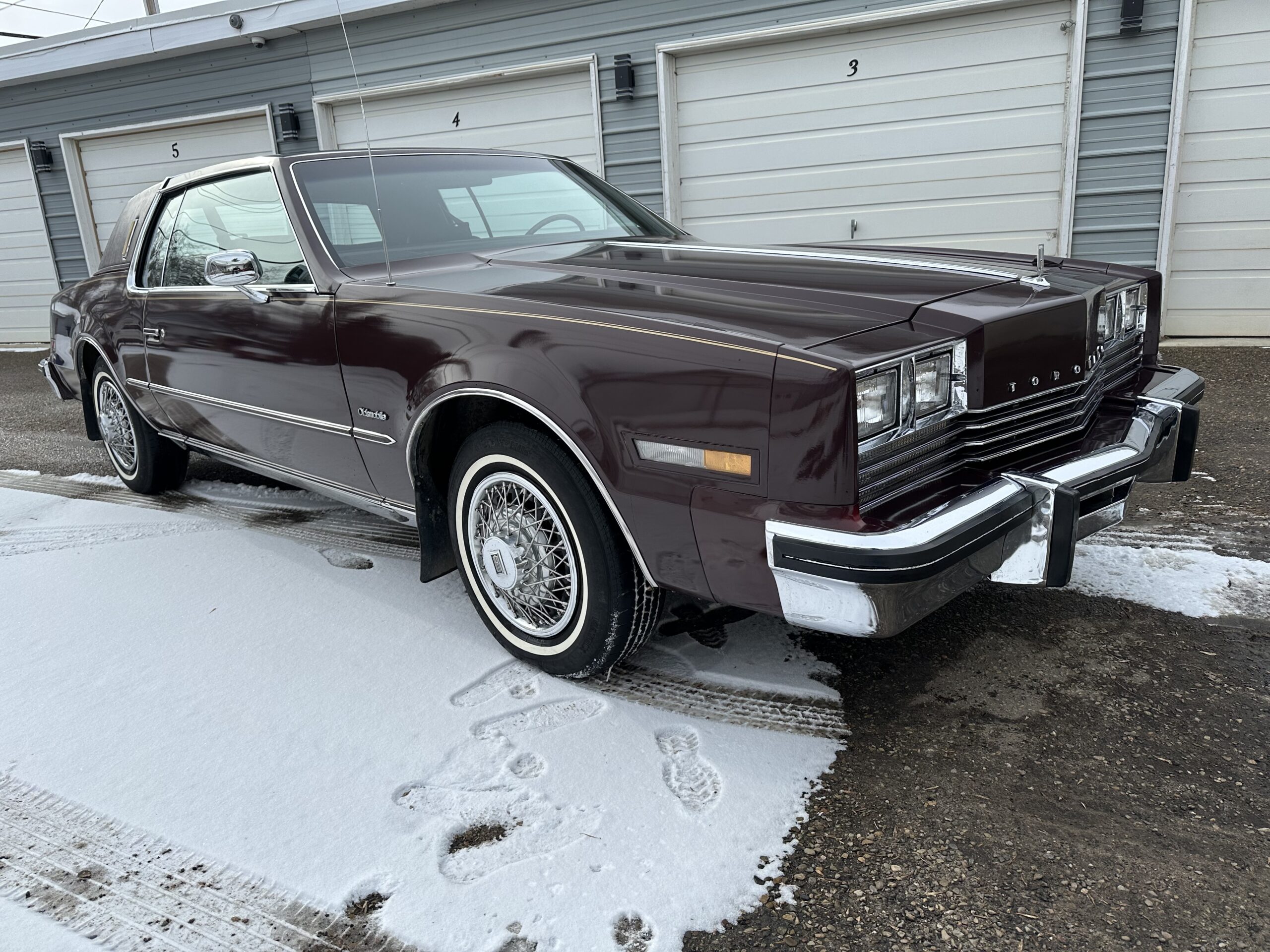 IMG_3926 Alistair Loughin 2024-02-27