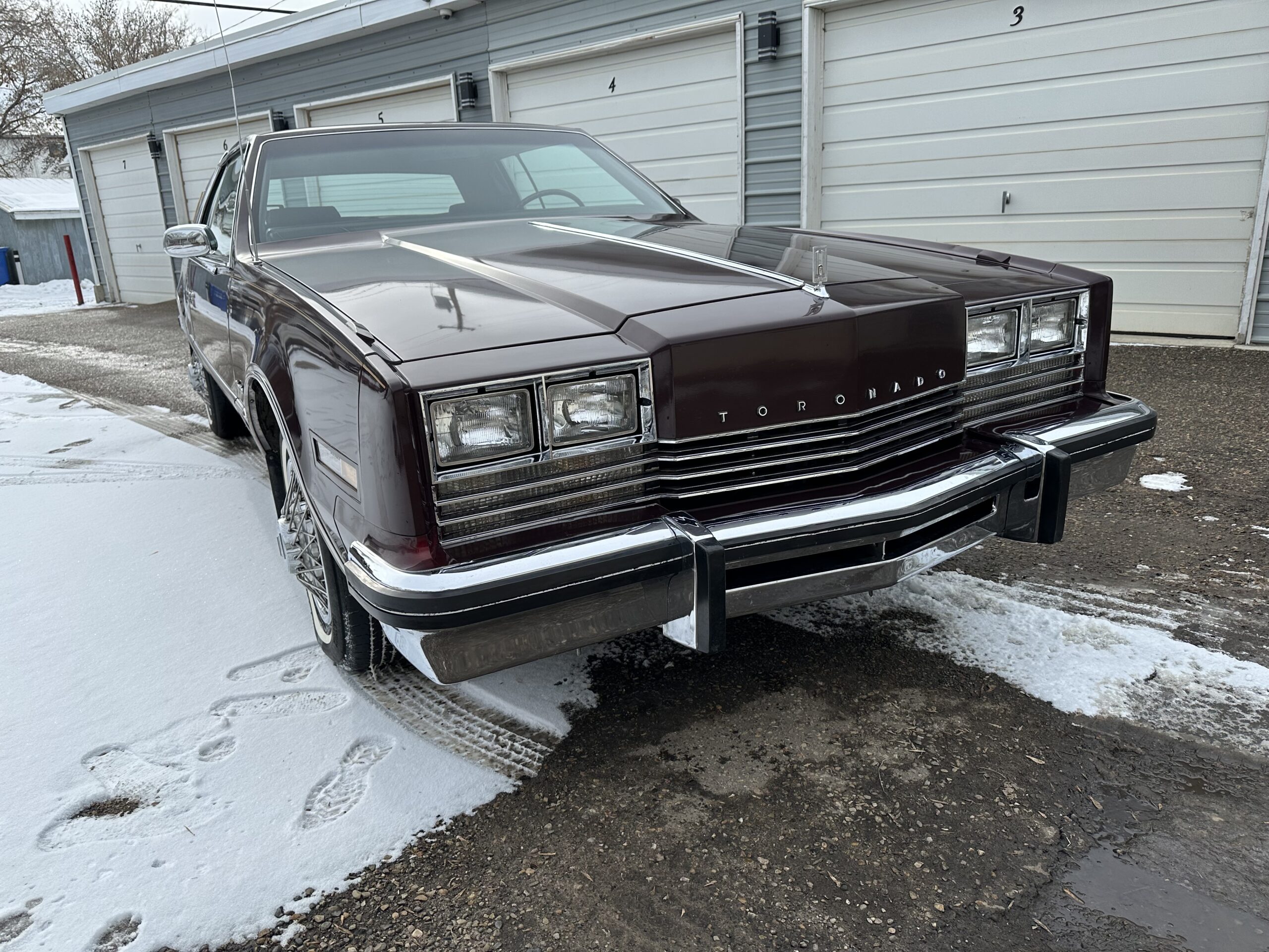 IMG_3927 Alistair Loughin 2024-02-27