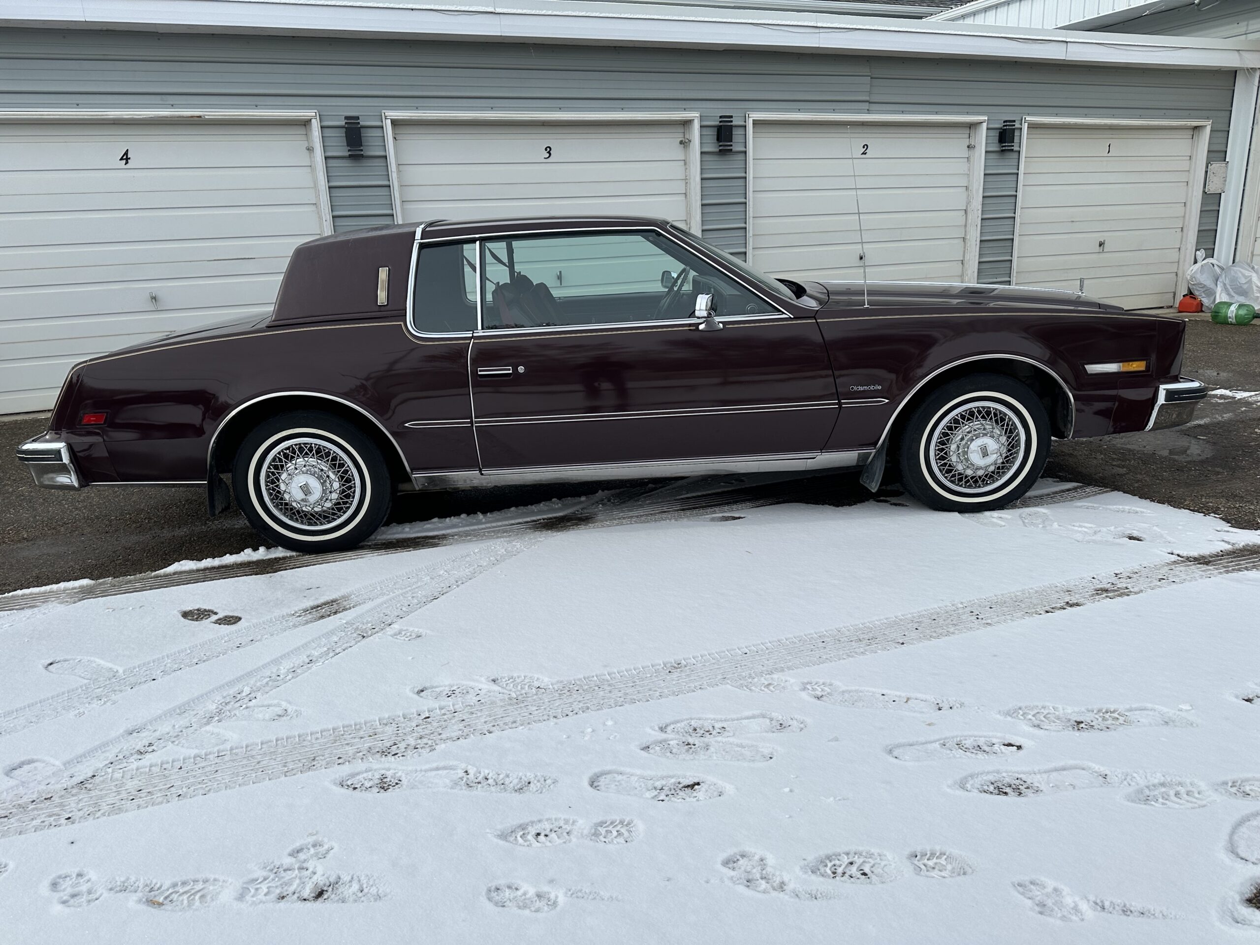 IMG_3928 Alistair Loughin 2024-02-27