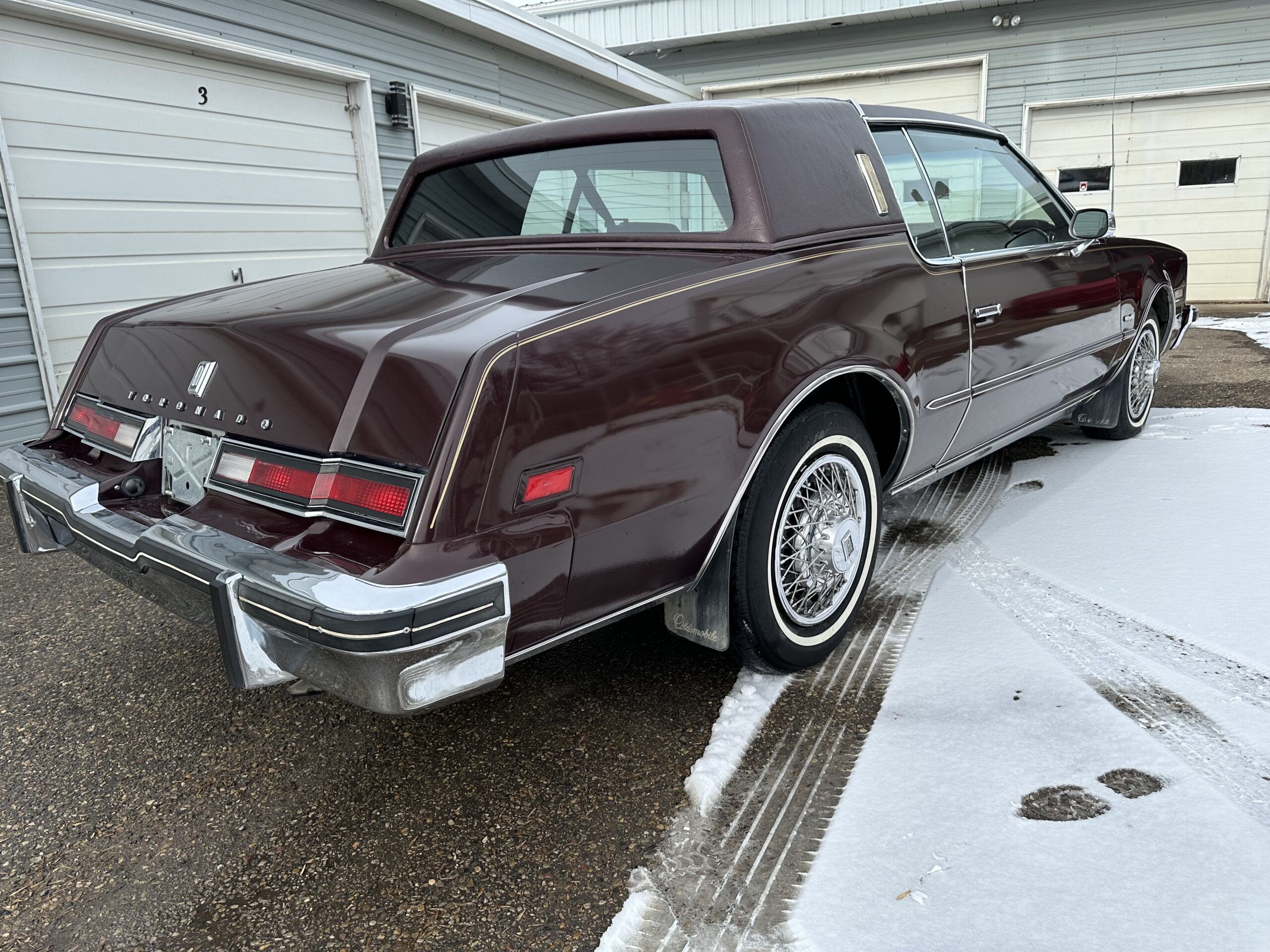 IMG_3929 Alistair Loughin 2024-02-27