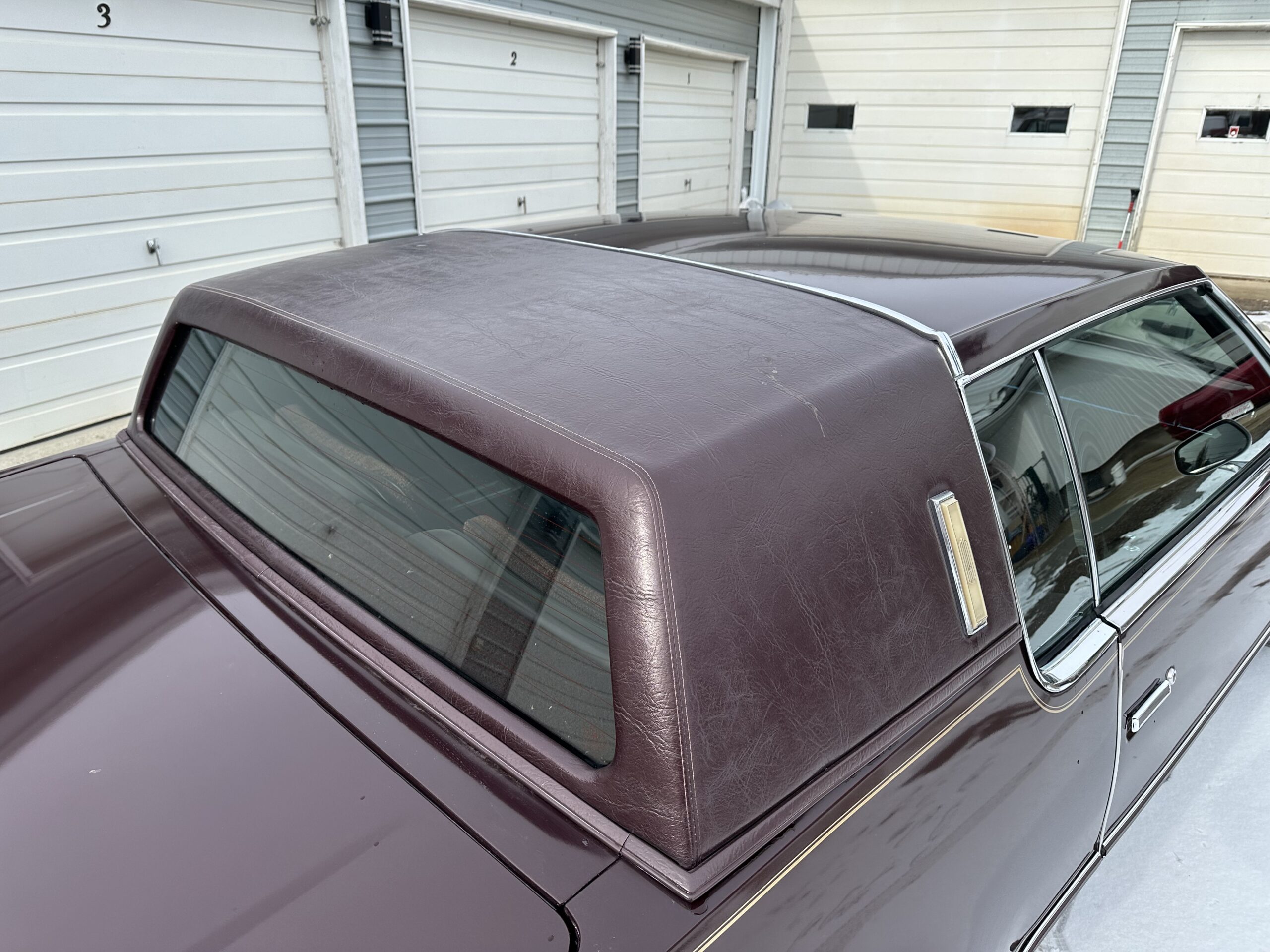 IMG_3930 Alistair Loughin 2024-02-27