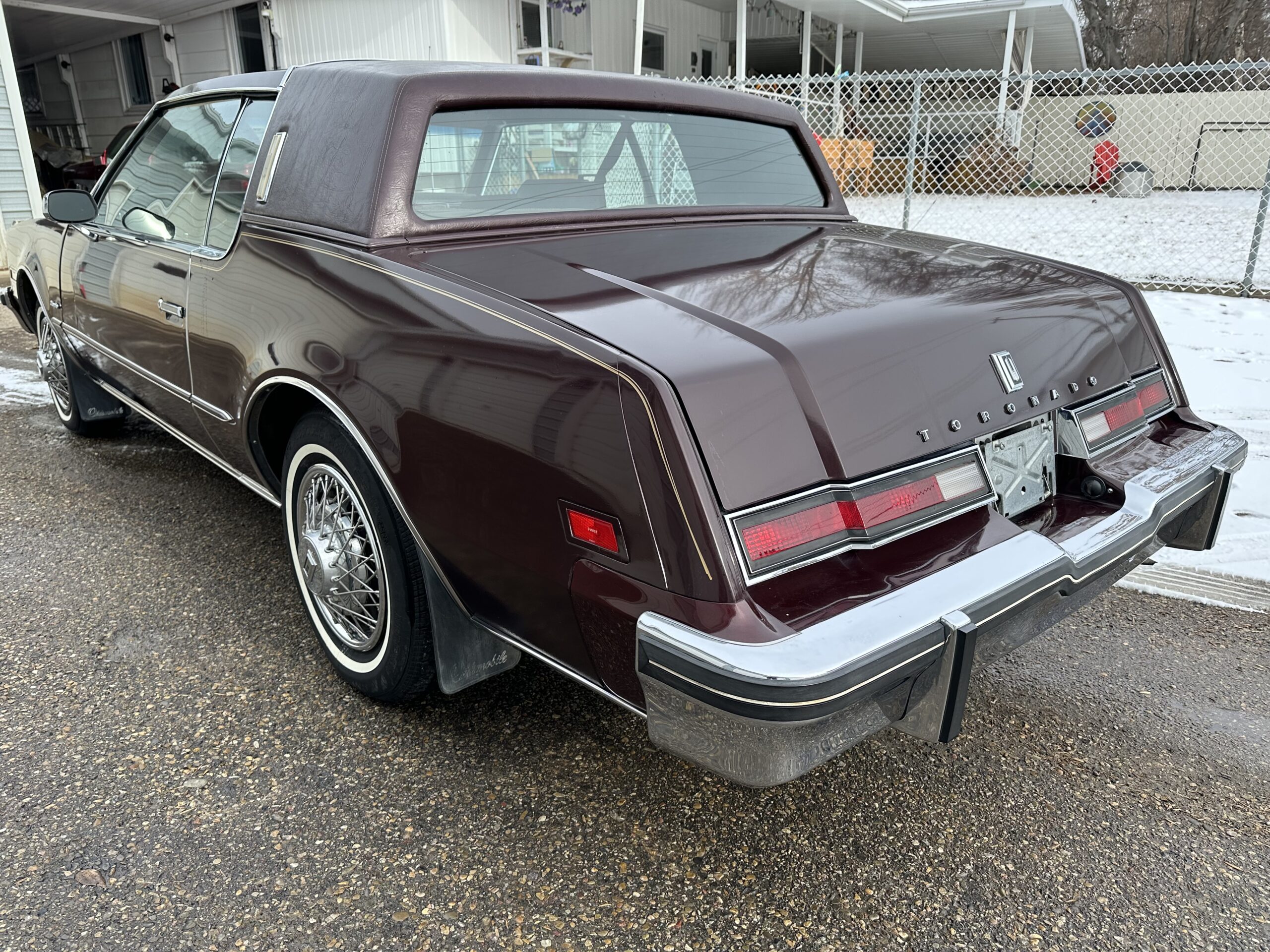 IMG_3932 Alistair Loughin 2024-02-27