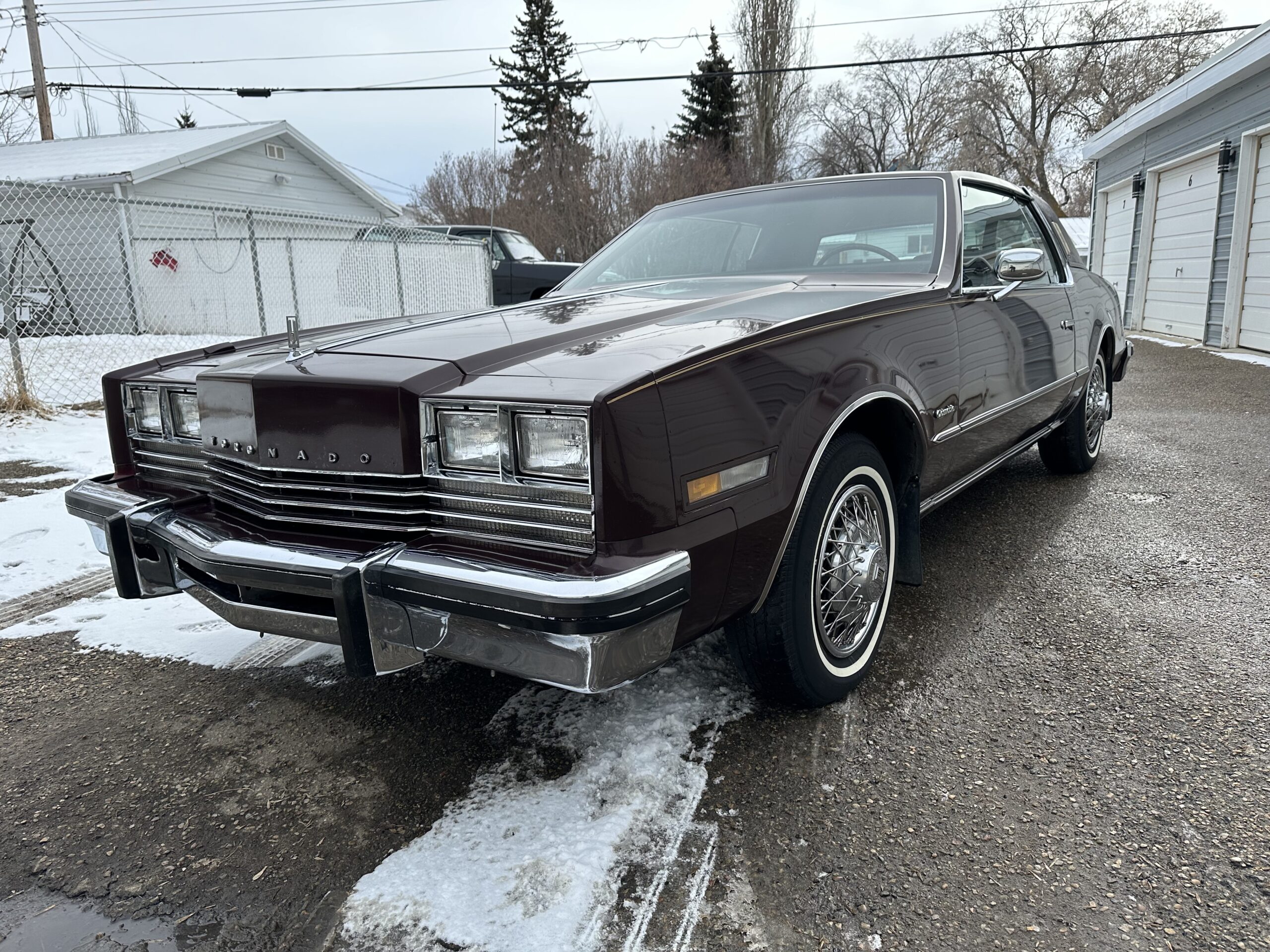 IMG_3935 Alistair Loughin 2024-02-27