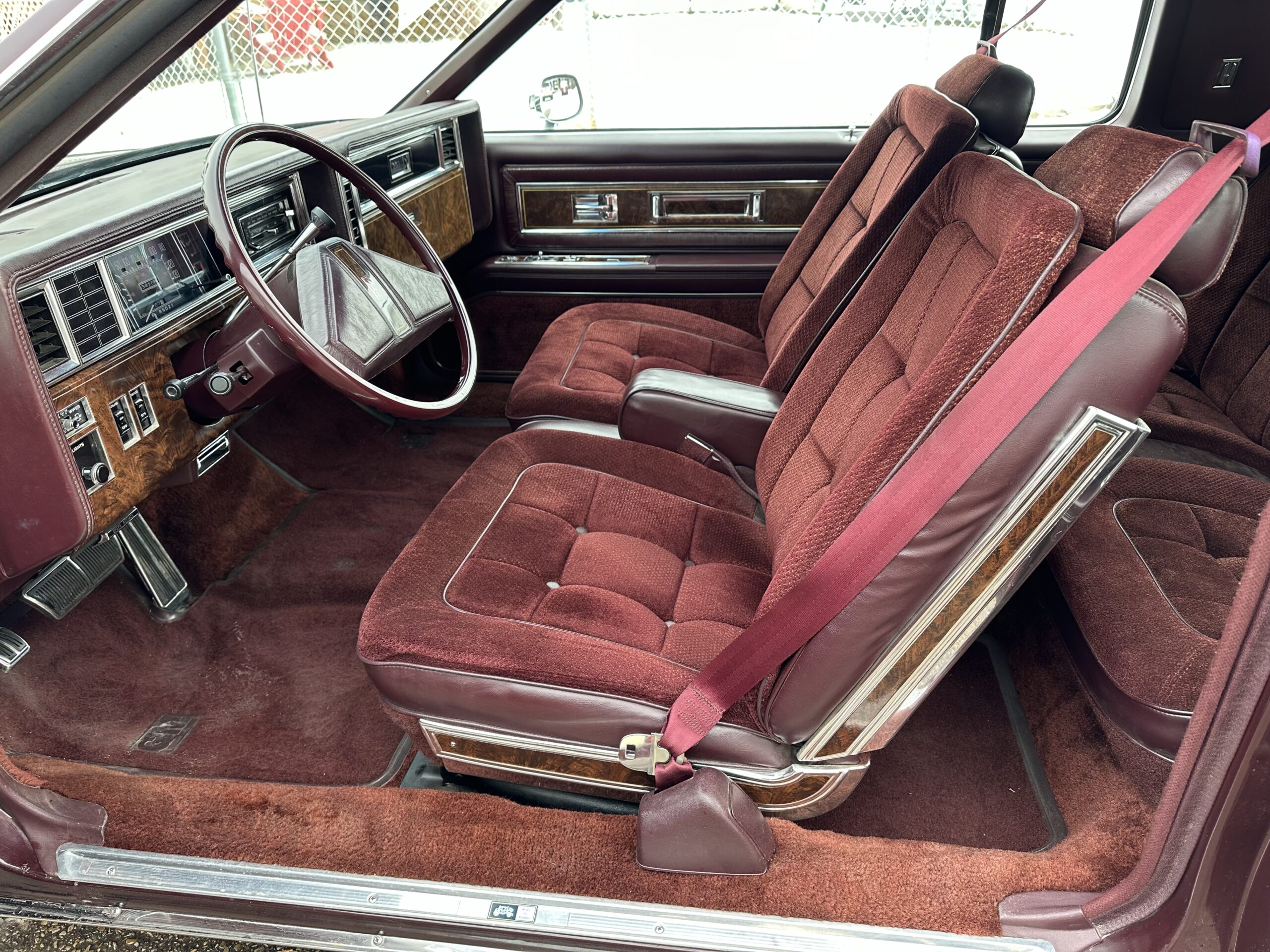 IMG_3936 Alistair Loughin 2024-02-27