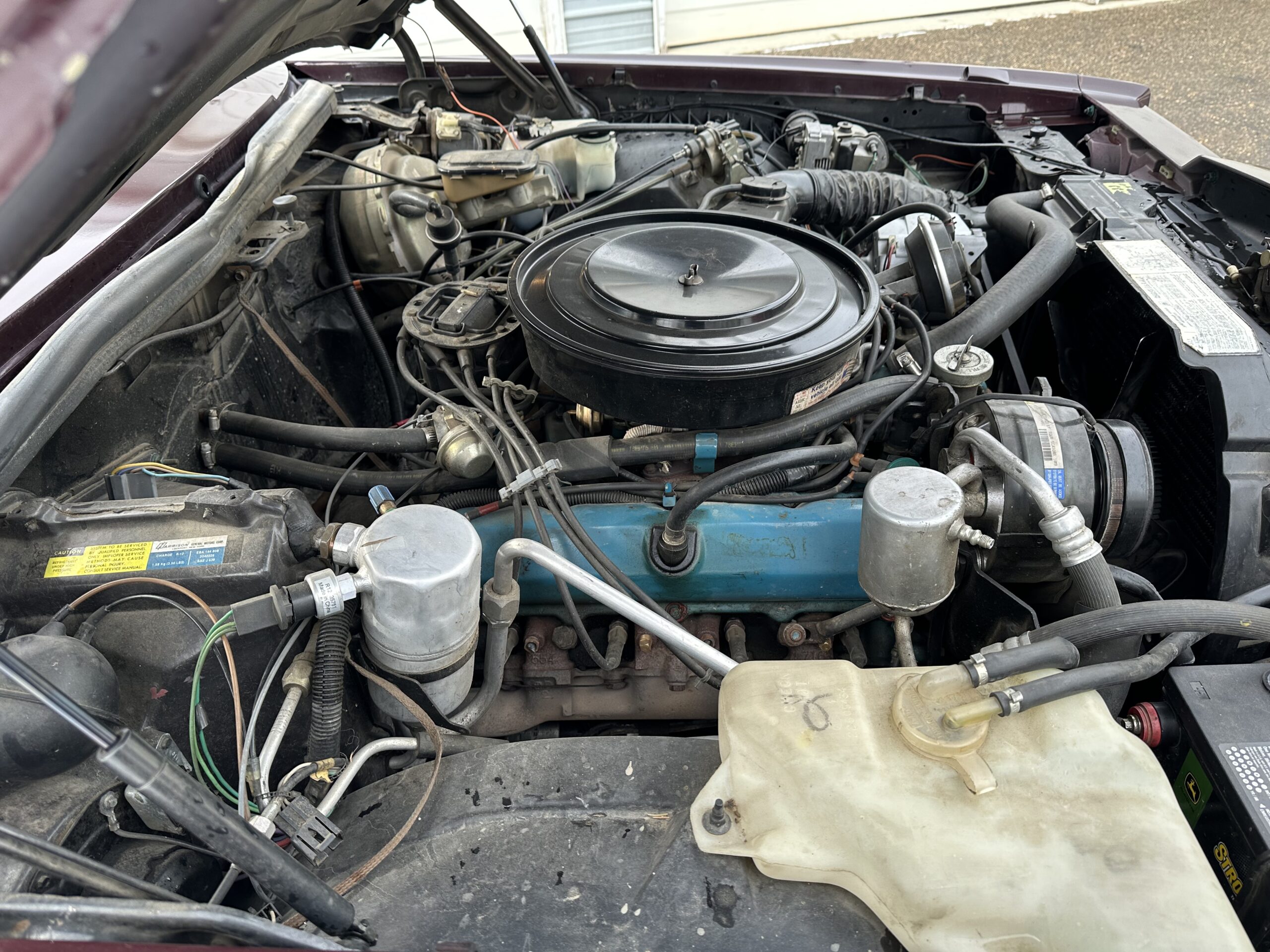 IMG_3945 Alistair Loughin 2024-02-27