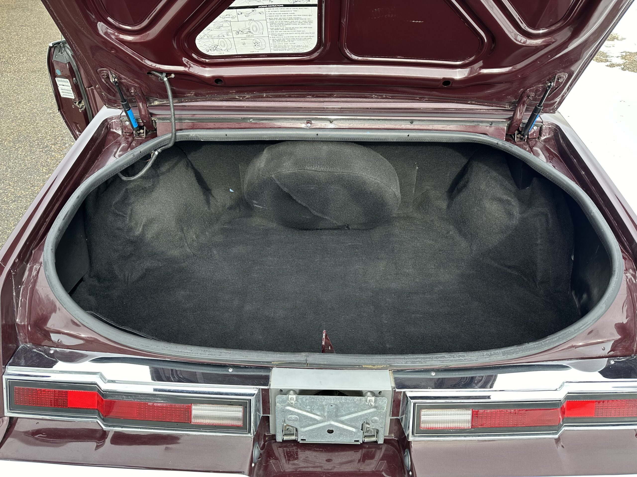 IMG_3948 Alistair Loughin 2024-02-27