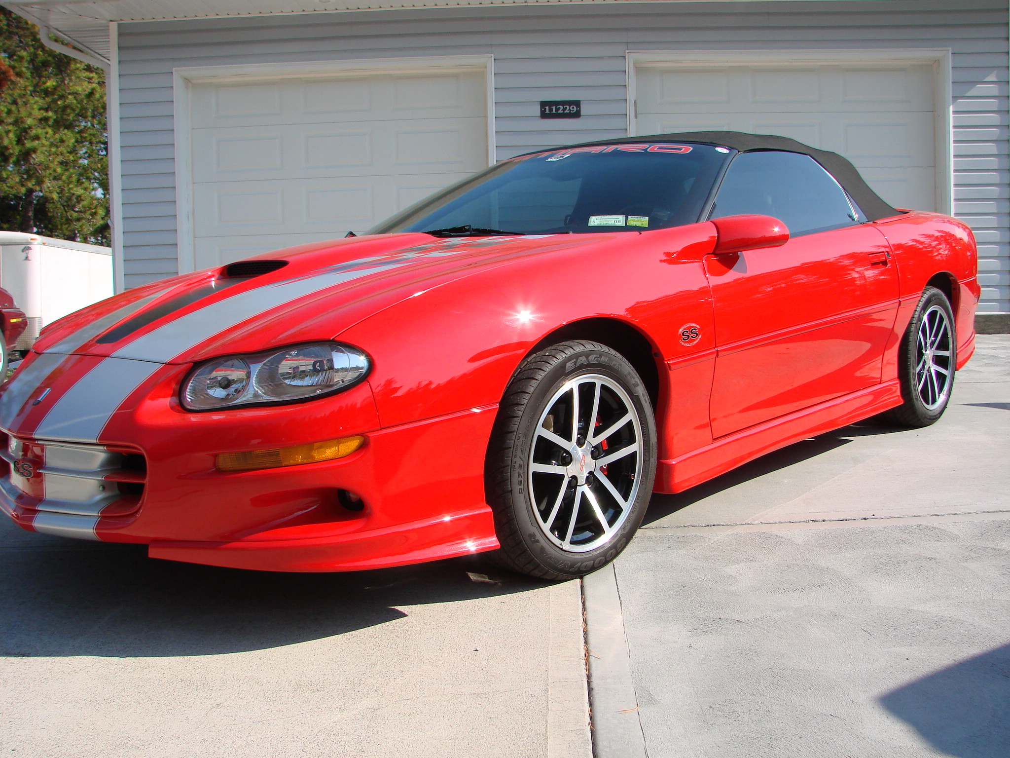 DSC04385 (1) Tony Buttazzoni 2024-03-01