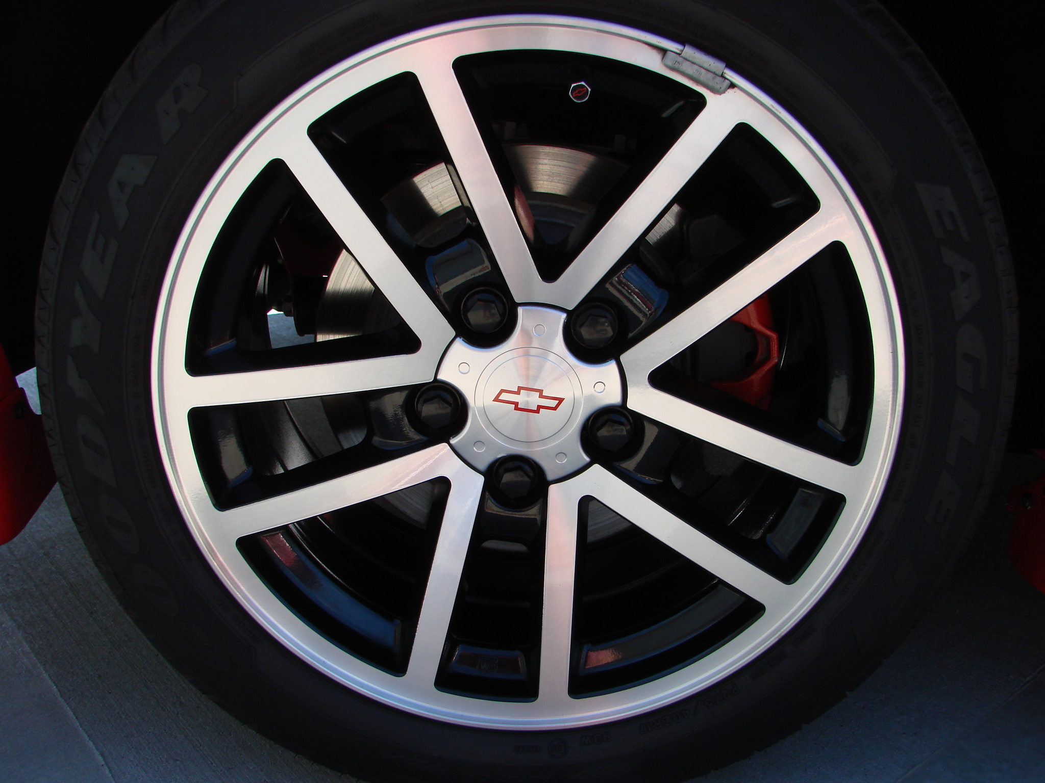 DSC04389 (1) Tony Buttazzoni 2024-03-01