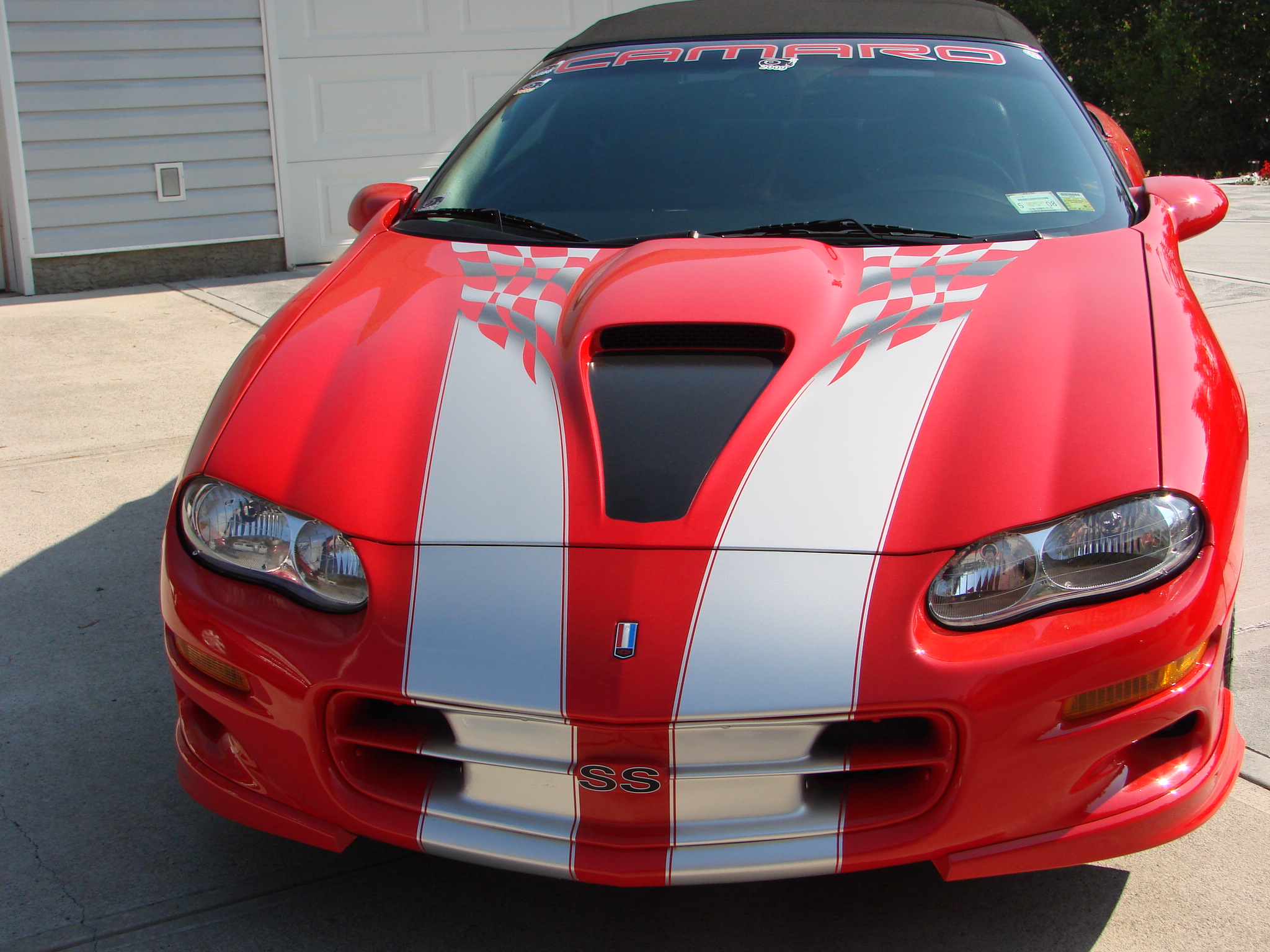 DSC04390 (1) Tony Buttazzoni 2024-03-01