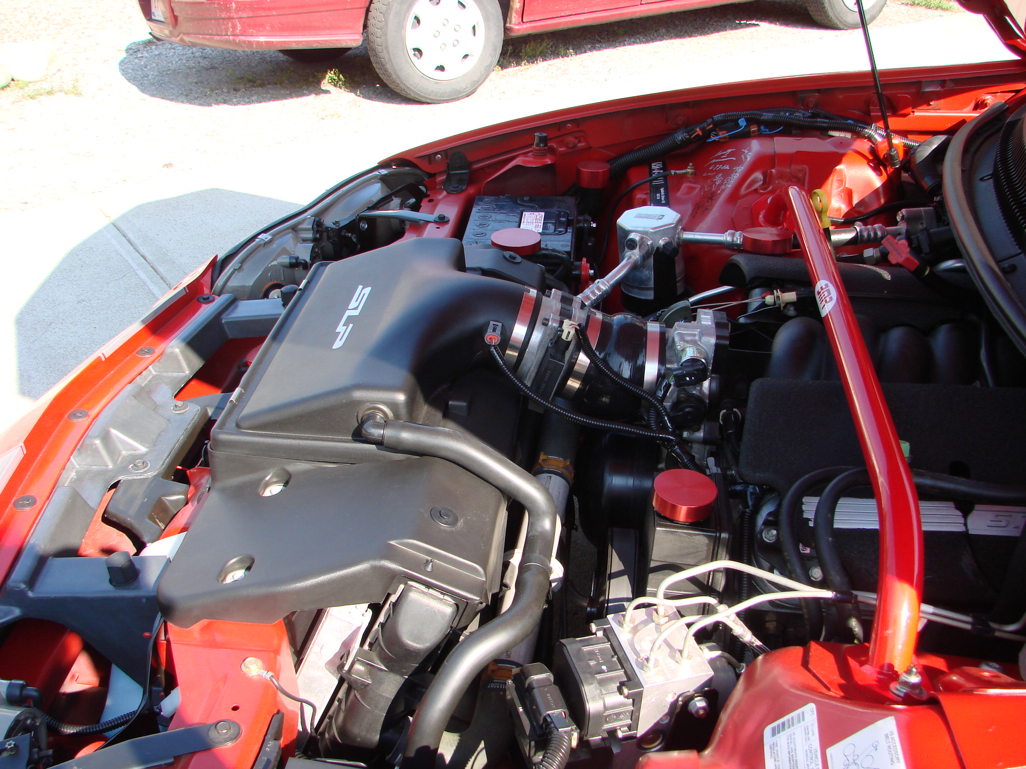 DSC04391 Tony Buttazzoni 2024-03-01