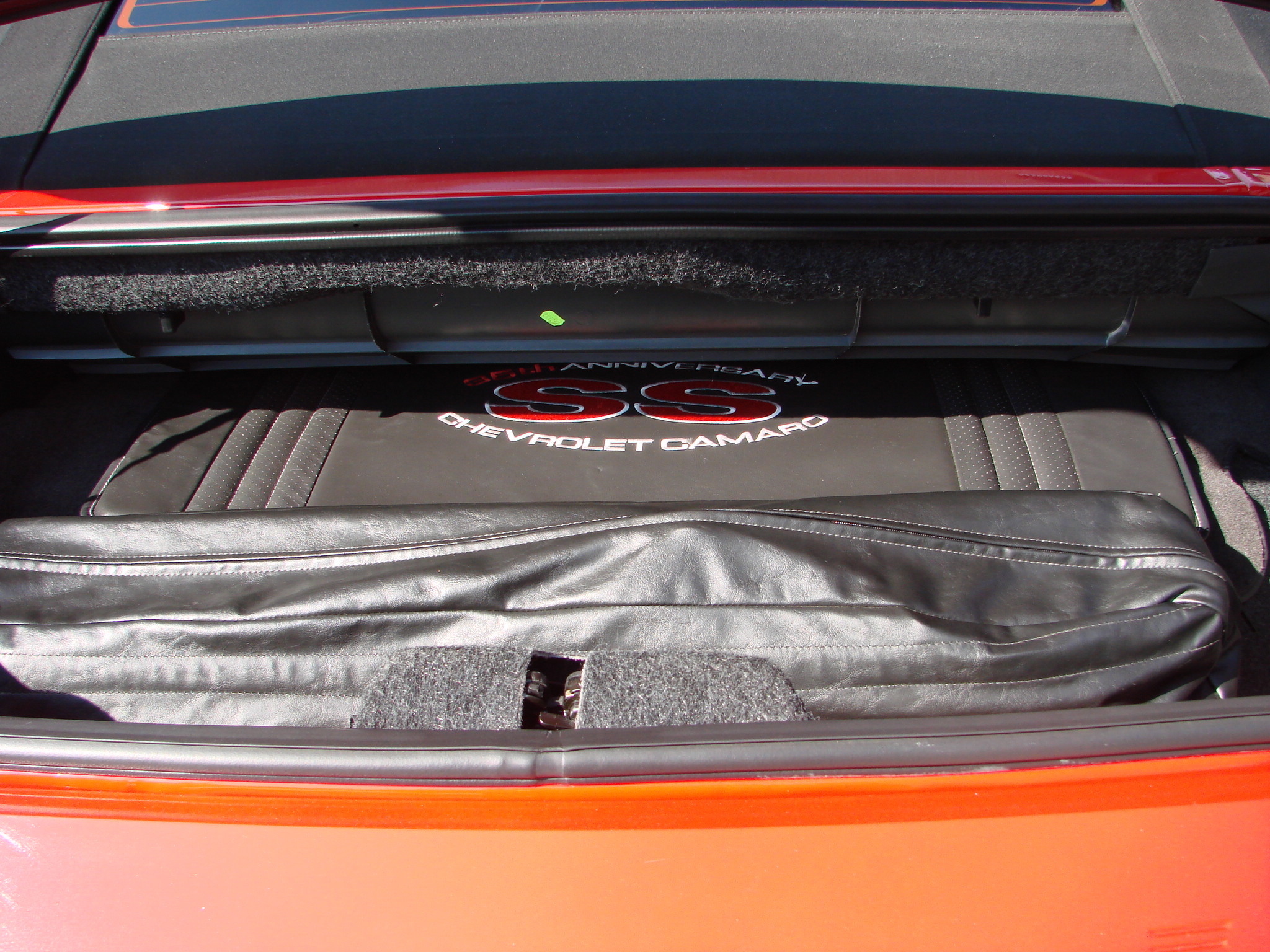 DSC04397 (1) Tony Buttazzoni 2024-03-01