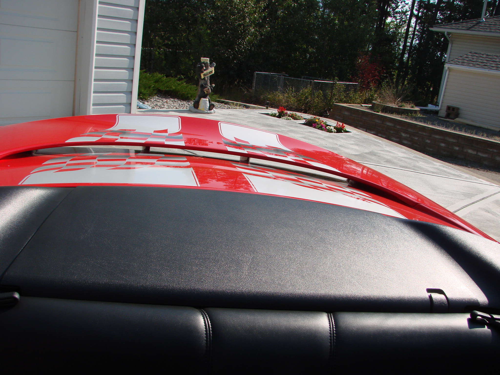 DSC04400 (1) Tony Buttazzoni 2024-03-01