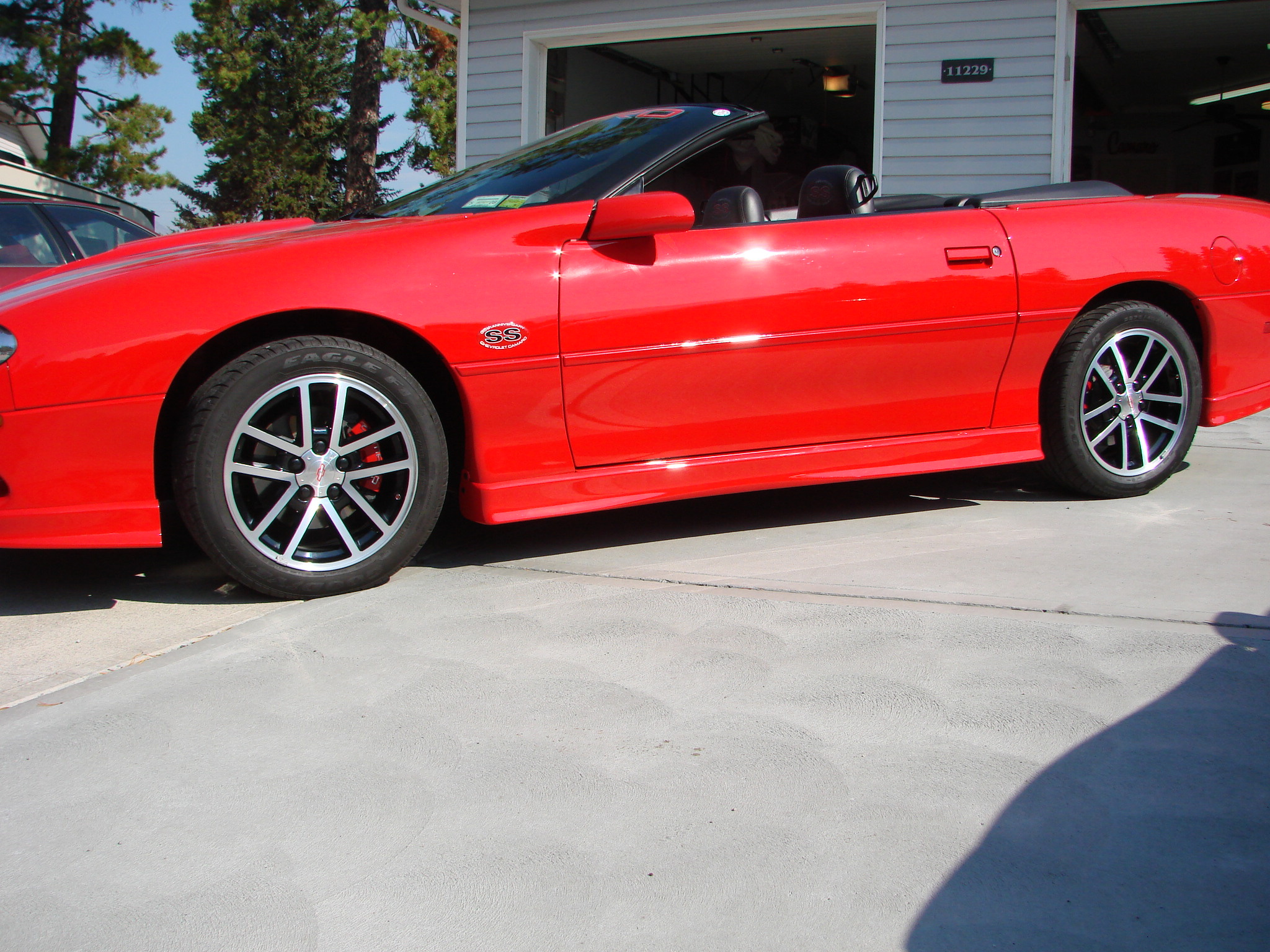 DSC04407 (1) Tony Buttazzoni 2024-03-01