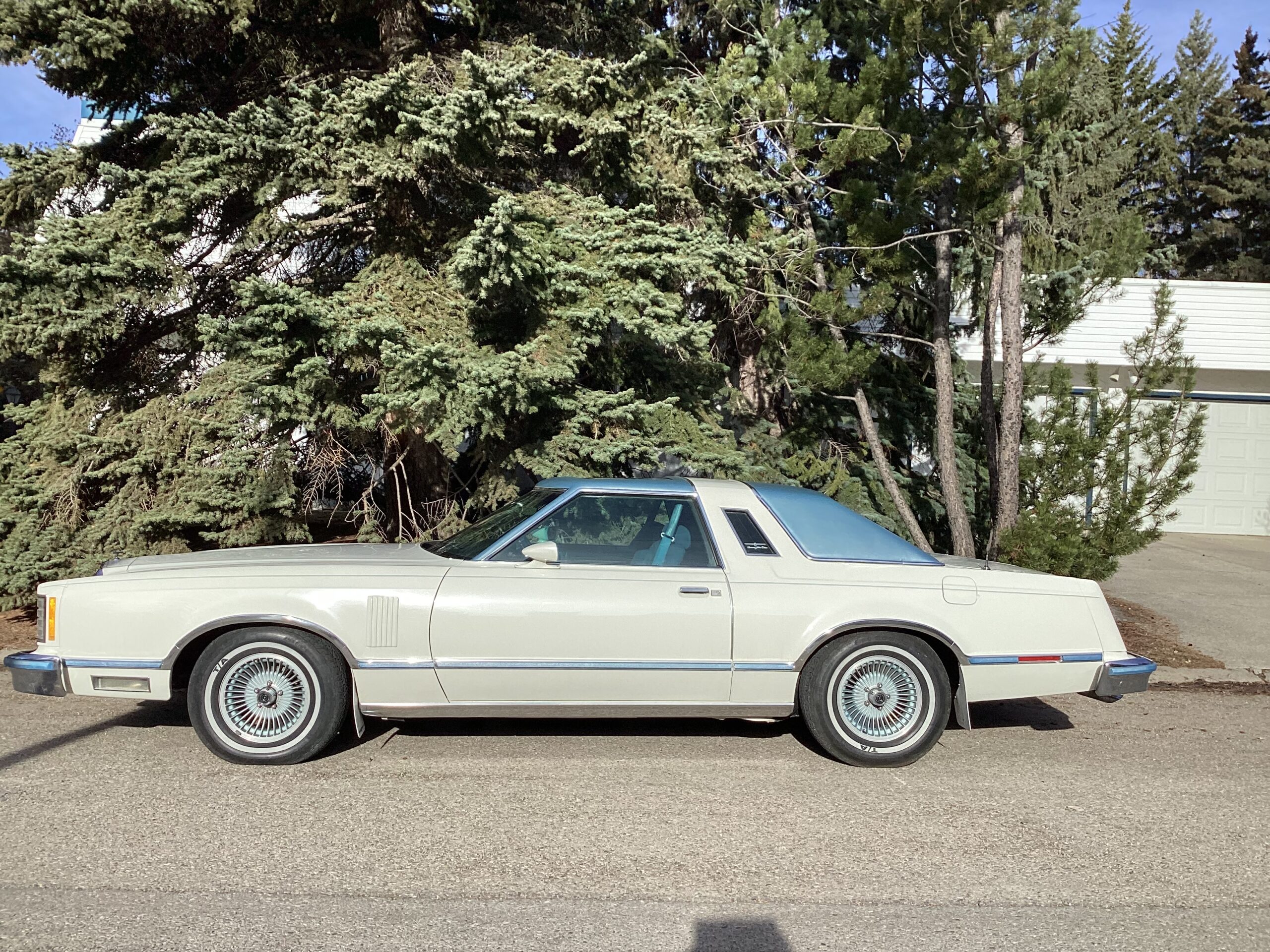 IMG_0081 Jim Gorman 2024-06-27