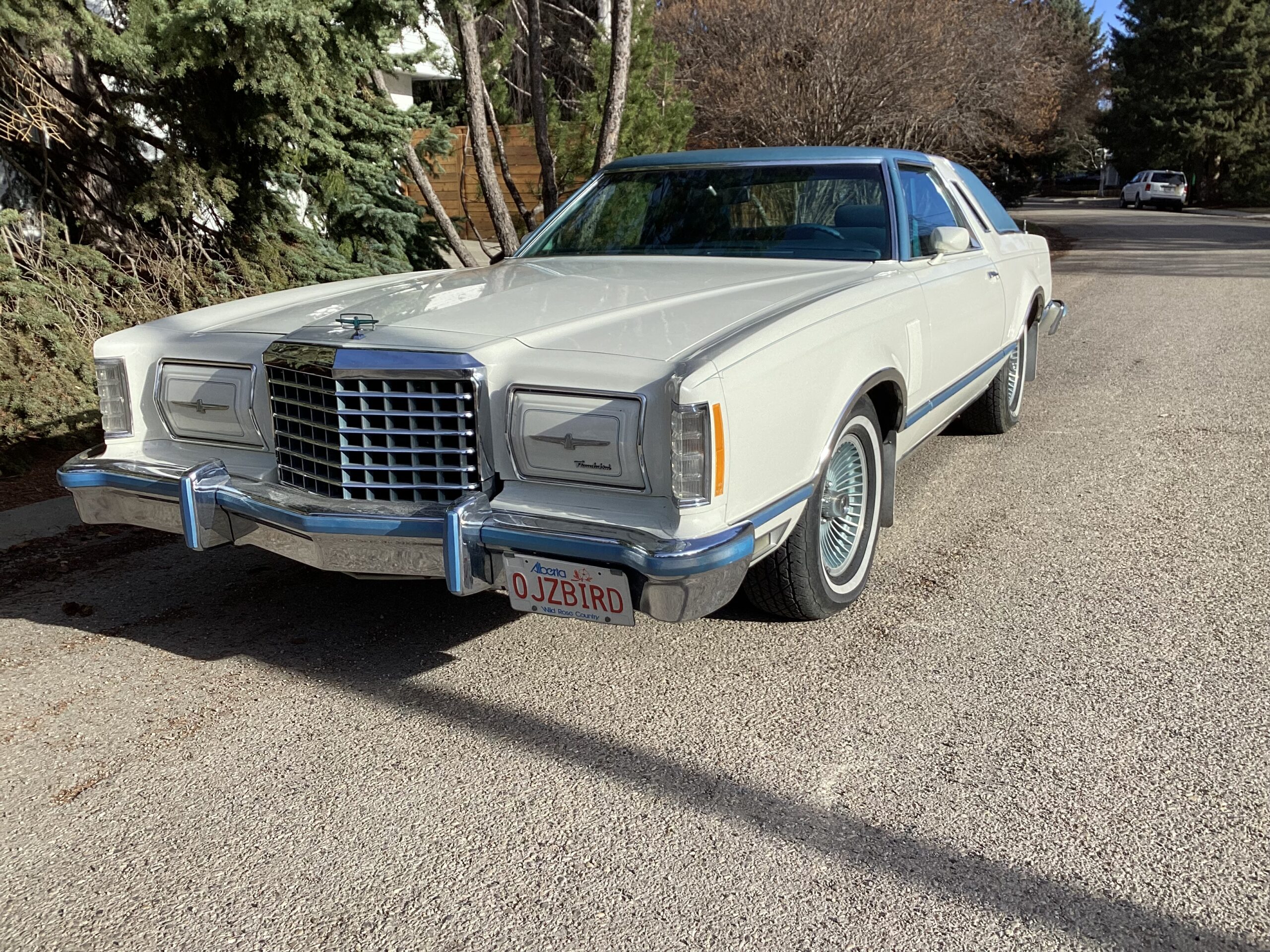 IMG_0082 Jim Gorman 2024-06-27