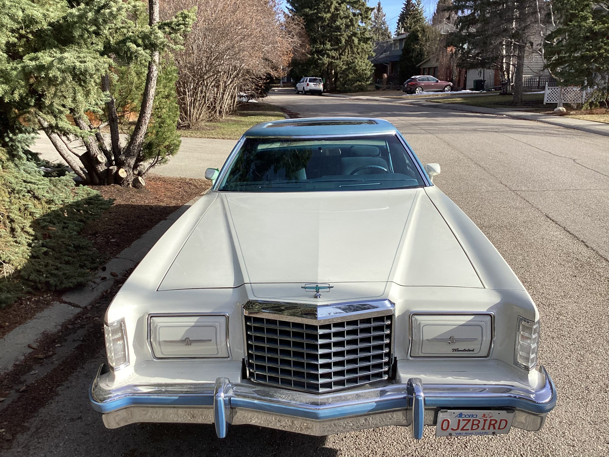 IMG_0083 Jim Gorman 2024-06-27