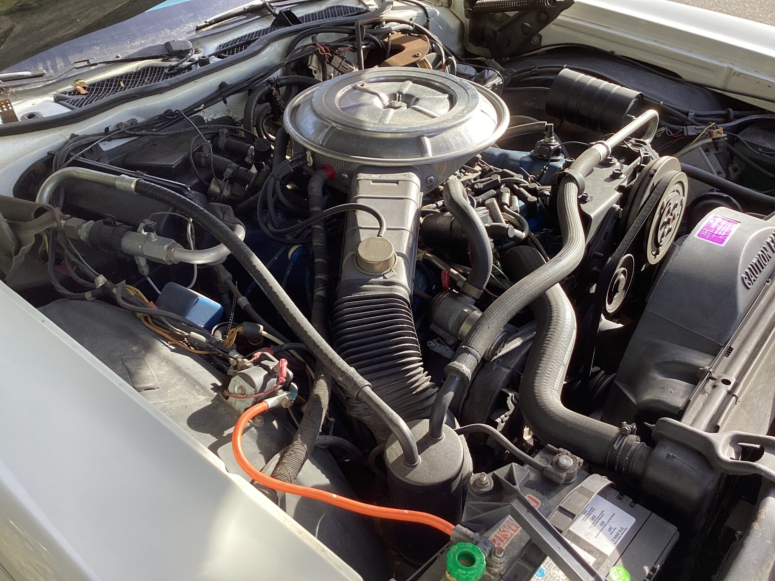 IMG_0098 Jim Gorman 2024-06-27