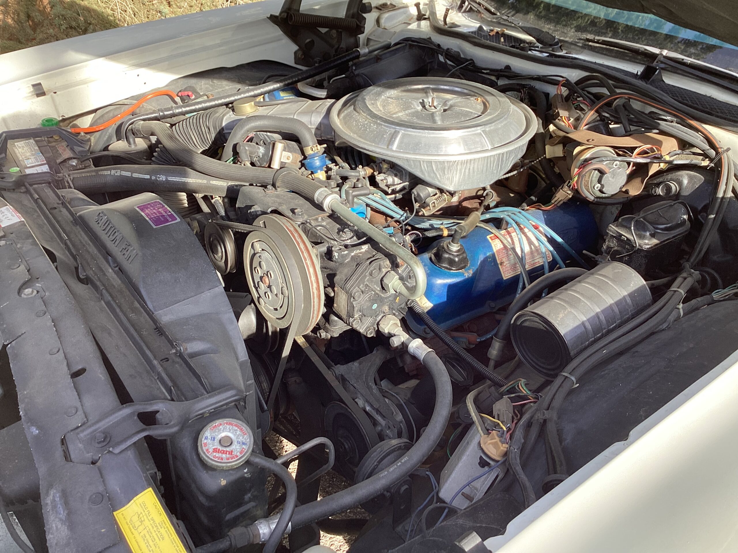 IMG_0099 Jim Gorman 2024-06-27