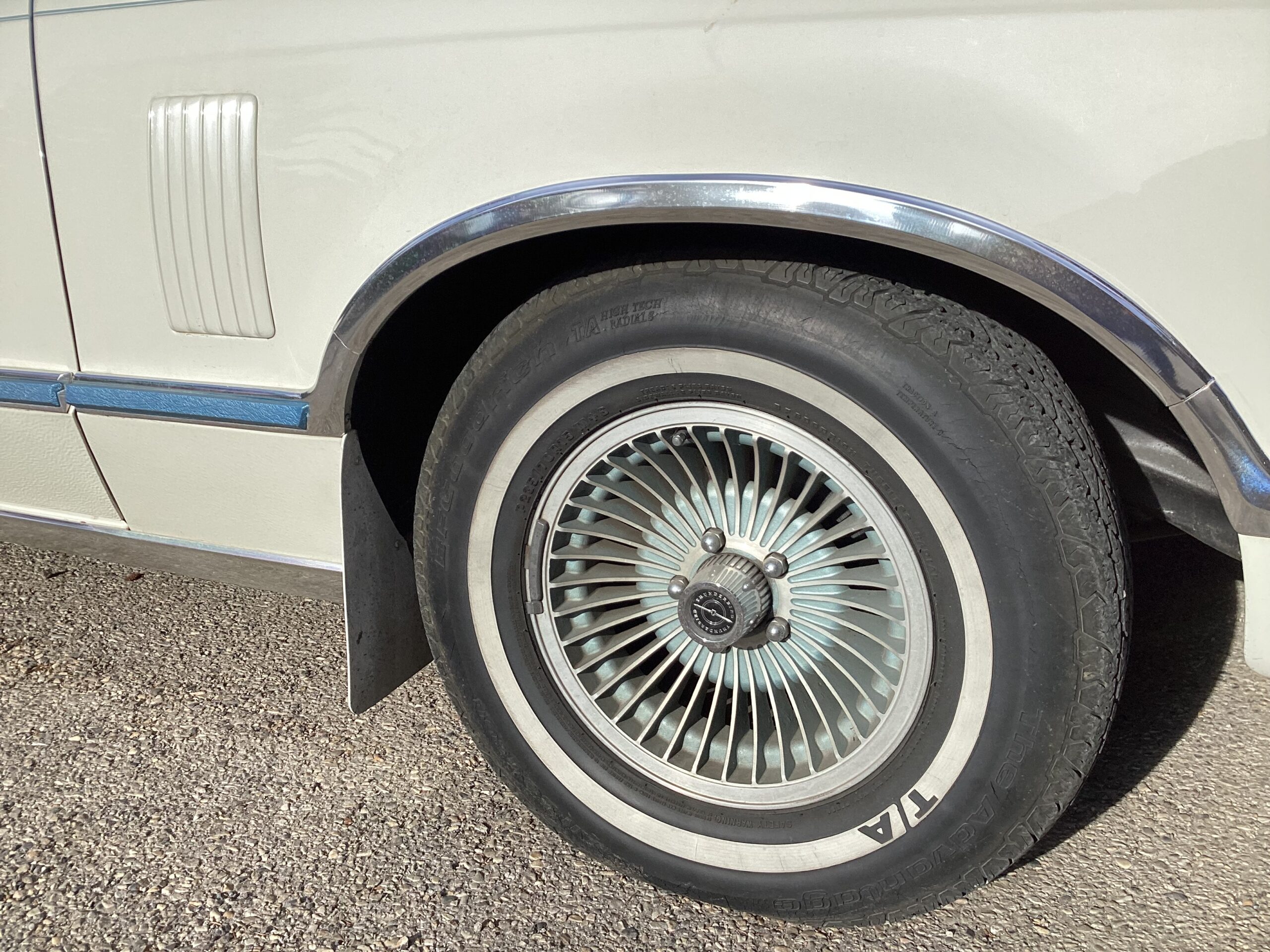 IMG_0104 Jim Gorman 2024-06-27