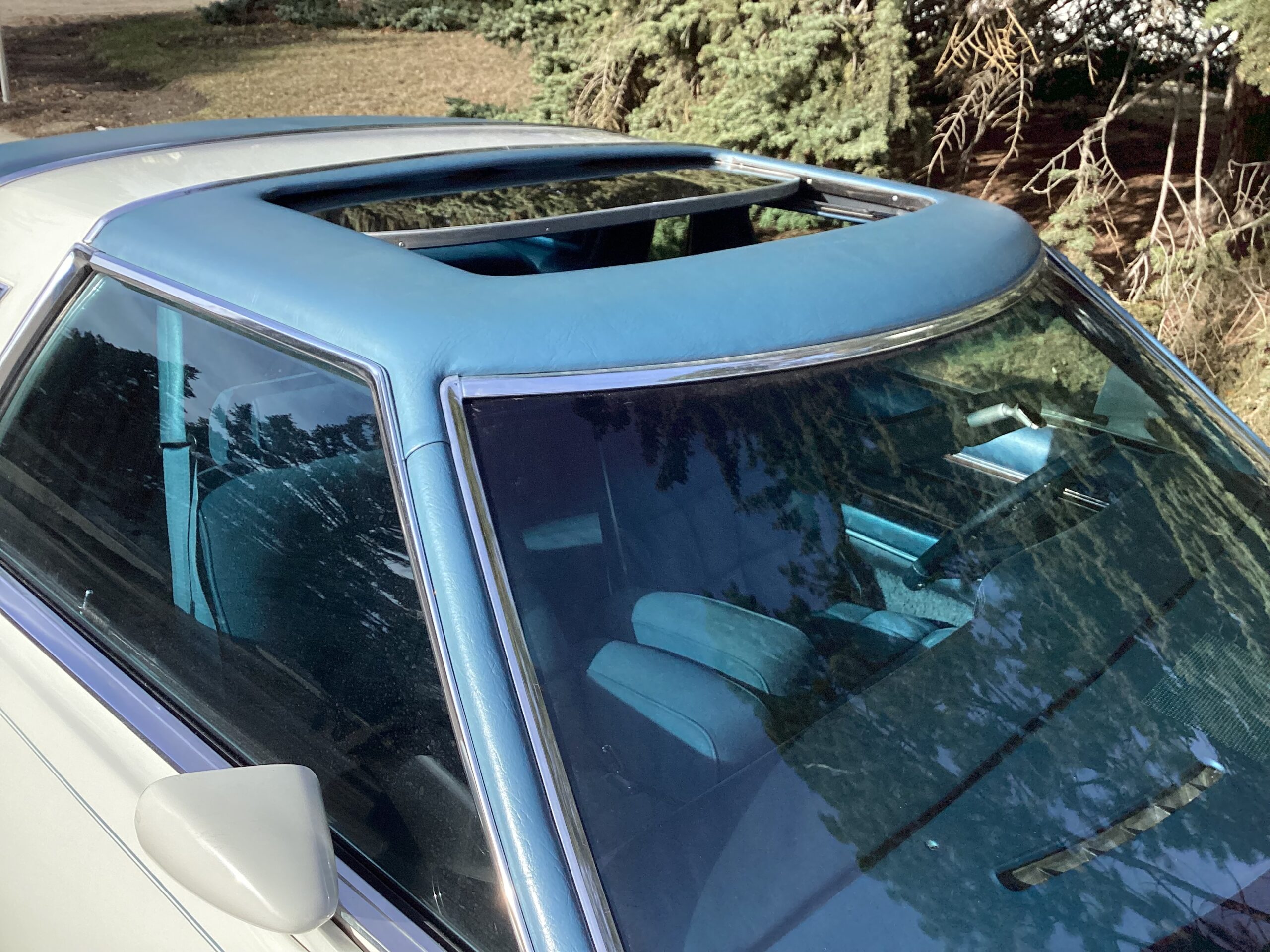 IMG_0106 Jim Gorman 2024-06-27