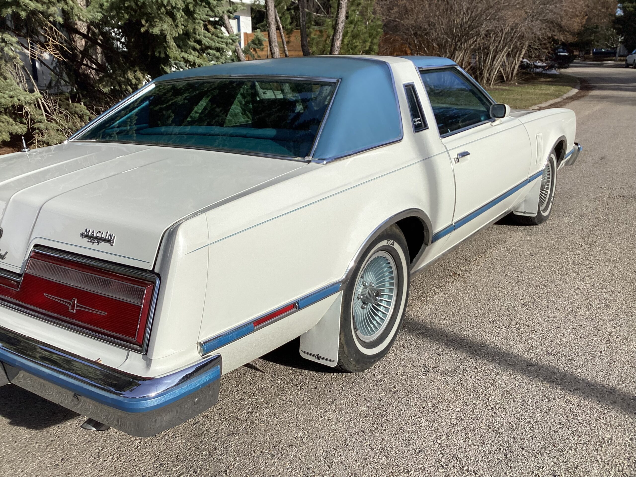 IMG_0107 Jim Gorman 2024-06-27