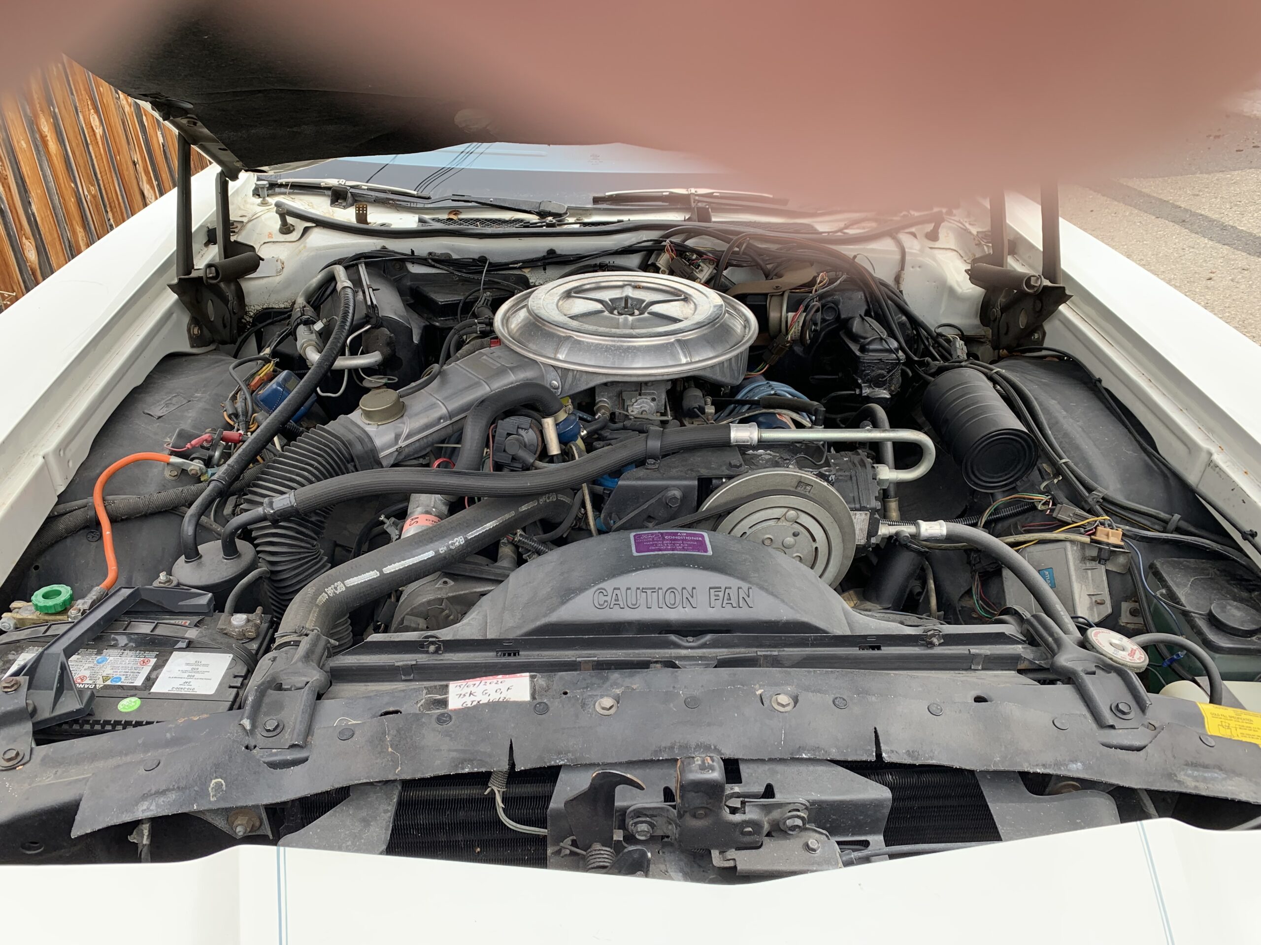 IMG_0379 Jim Gorman 2024-06-27