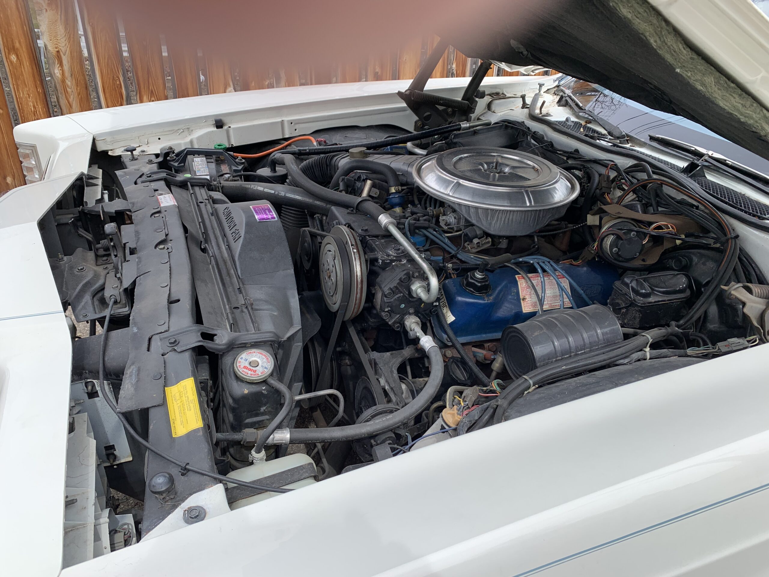 IMG_0381 Jim Gorman 2024-06-27