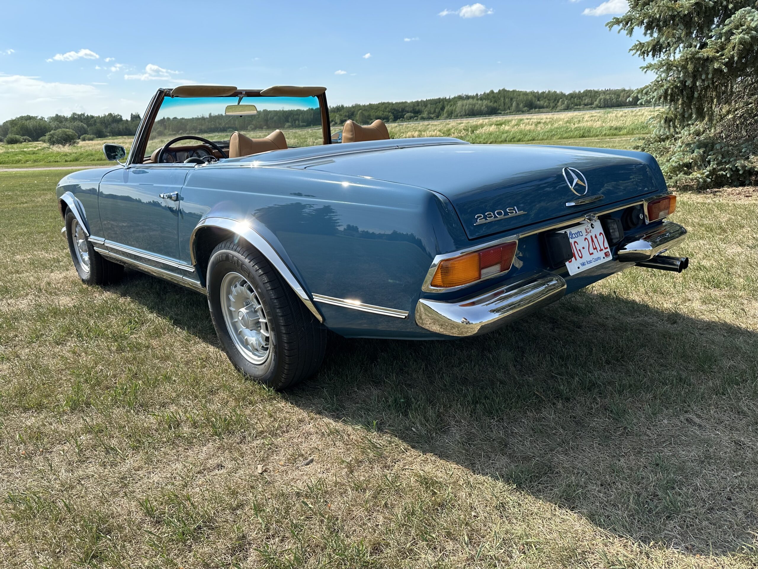 IMG_1133 Alastair 2024-03-19