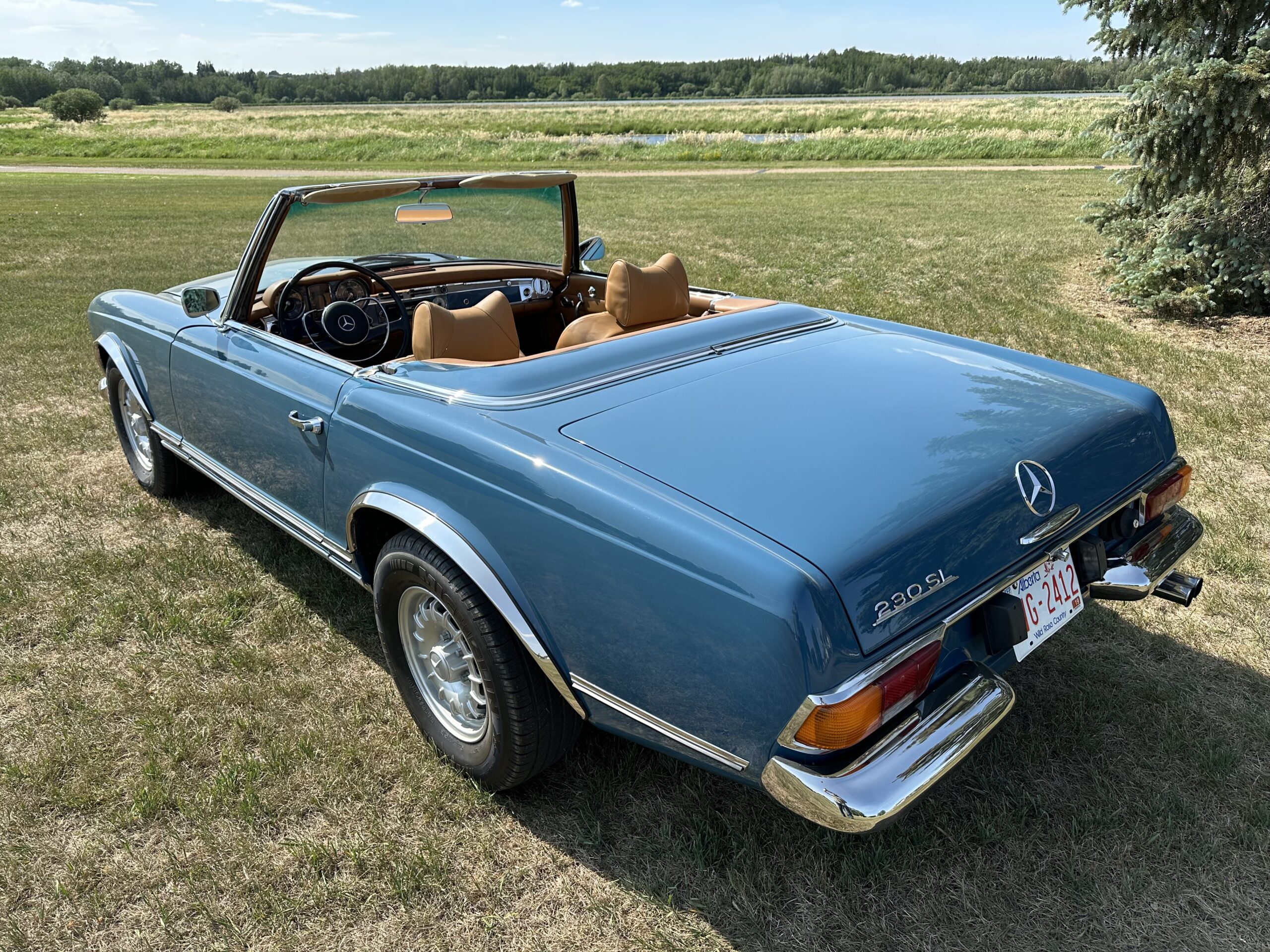 IMG_1134 Alastair 2024-03-19 (1)