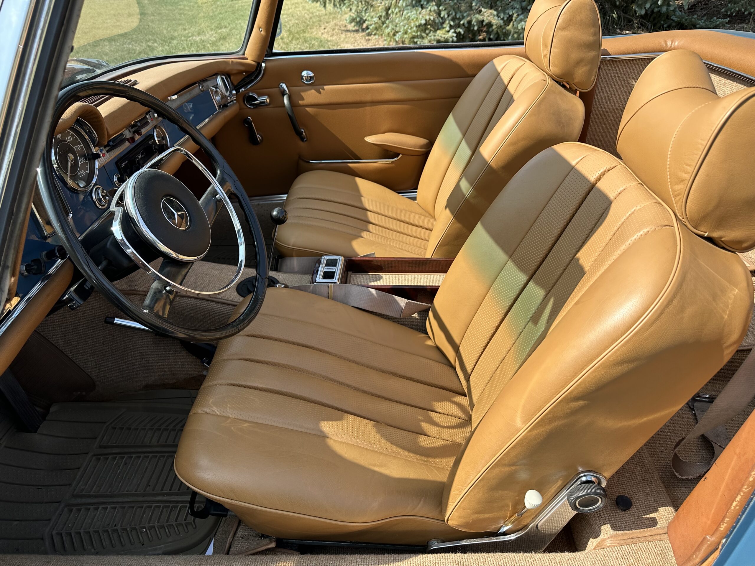 IMG_1141 Alastair 2024-03-19 (1)