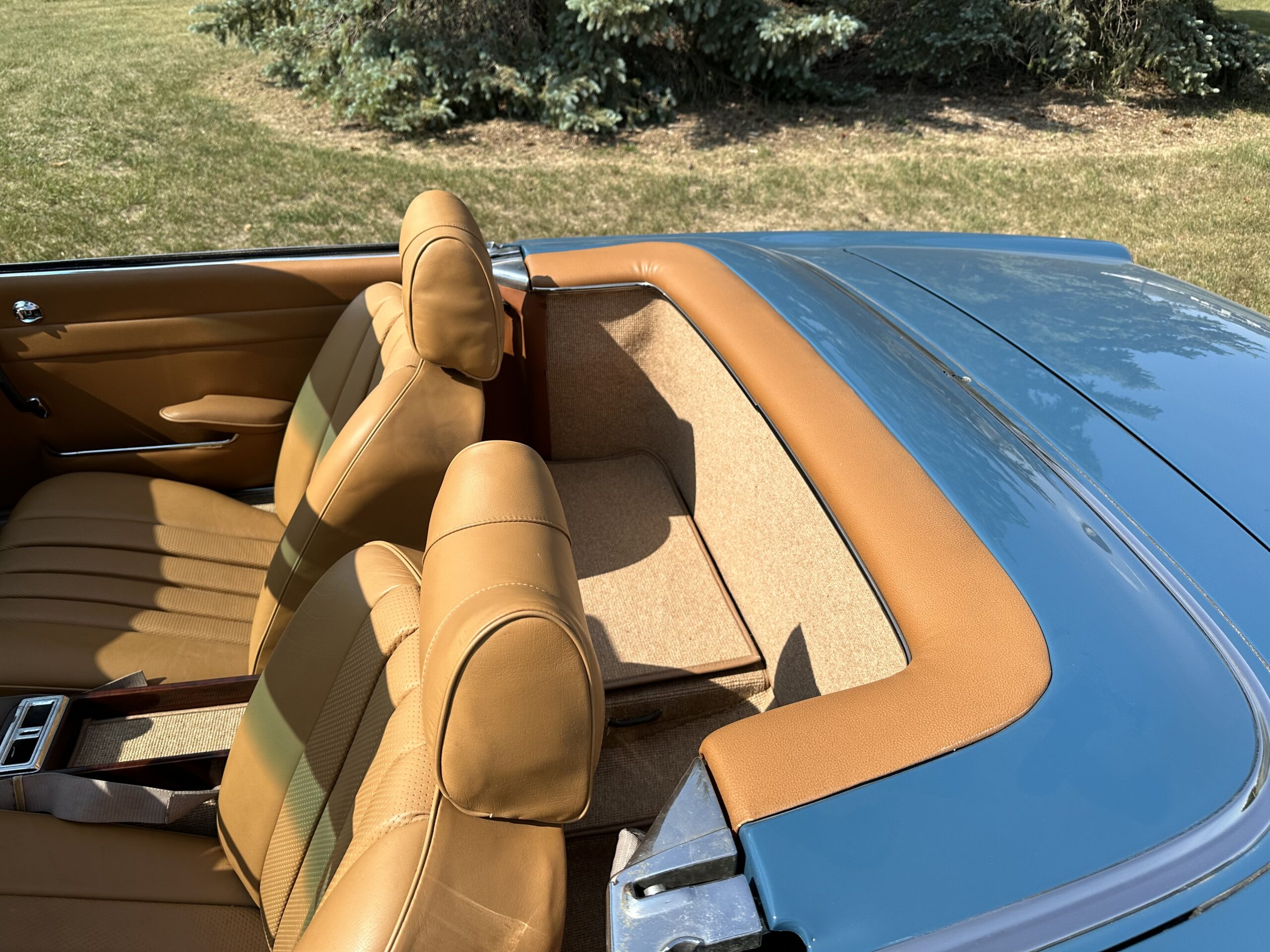 IMG_1143 Alastair 2024-03-19