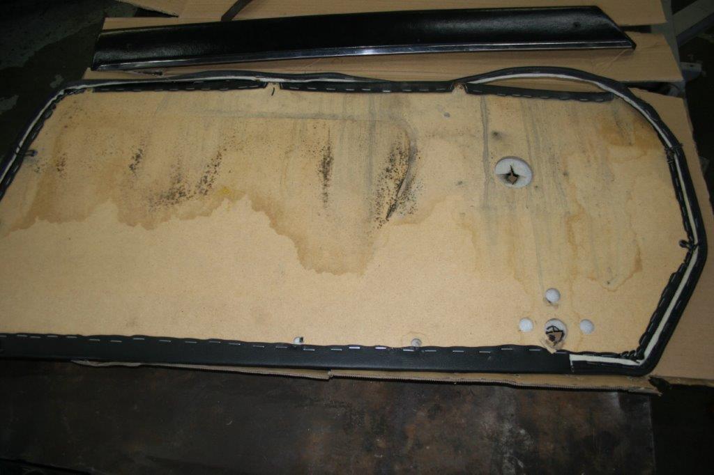 IMG_7046 Scott Schotanus 2024-04-08