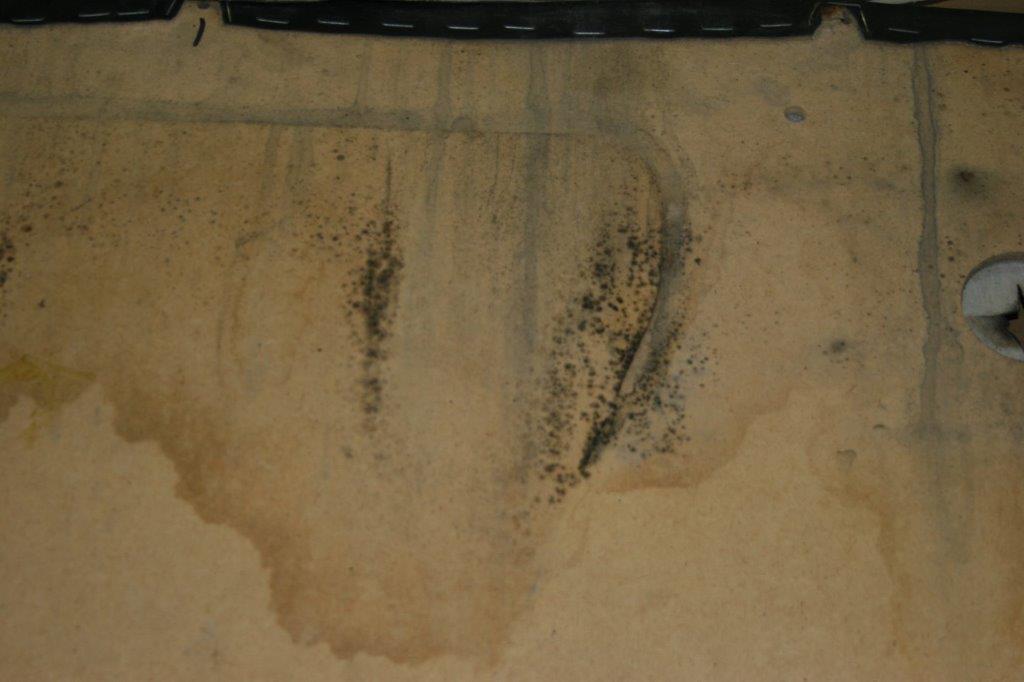 IMG_7047 Scott Schotanus 2024-04-08