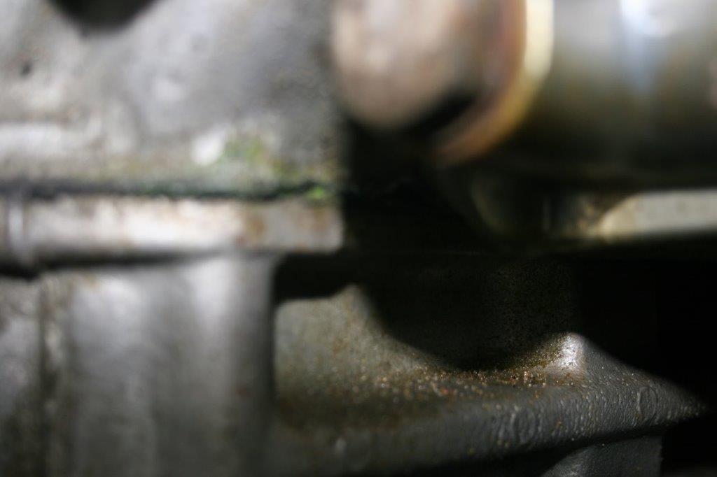 IMG_7622 Scott Schotanus 2024-04-08