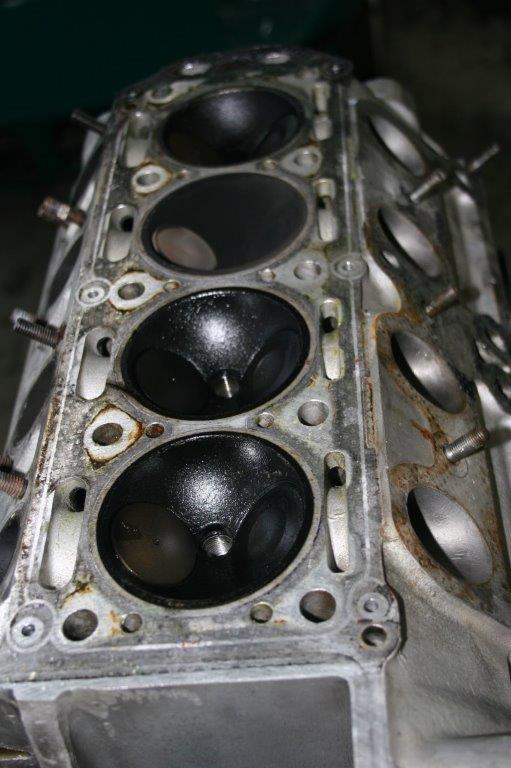 IMG_7678 Scott Schotanus 2024-04-08