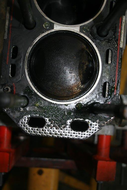 IMG_7680 Scott Schotanus 2024-04-08