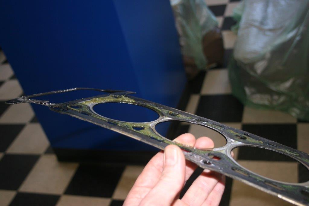 IMG_7684 Scott Schotanus 2024-04-08