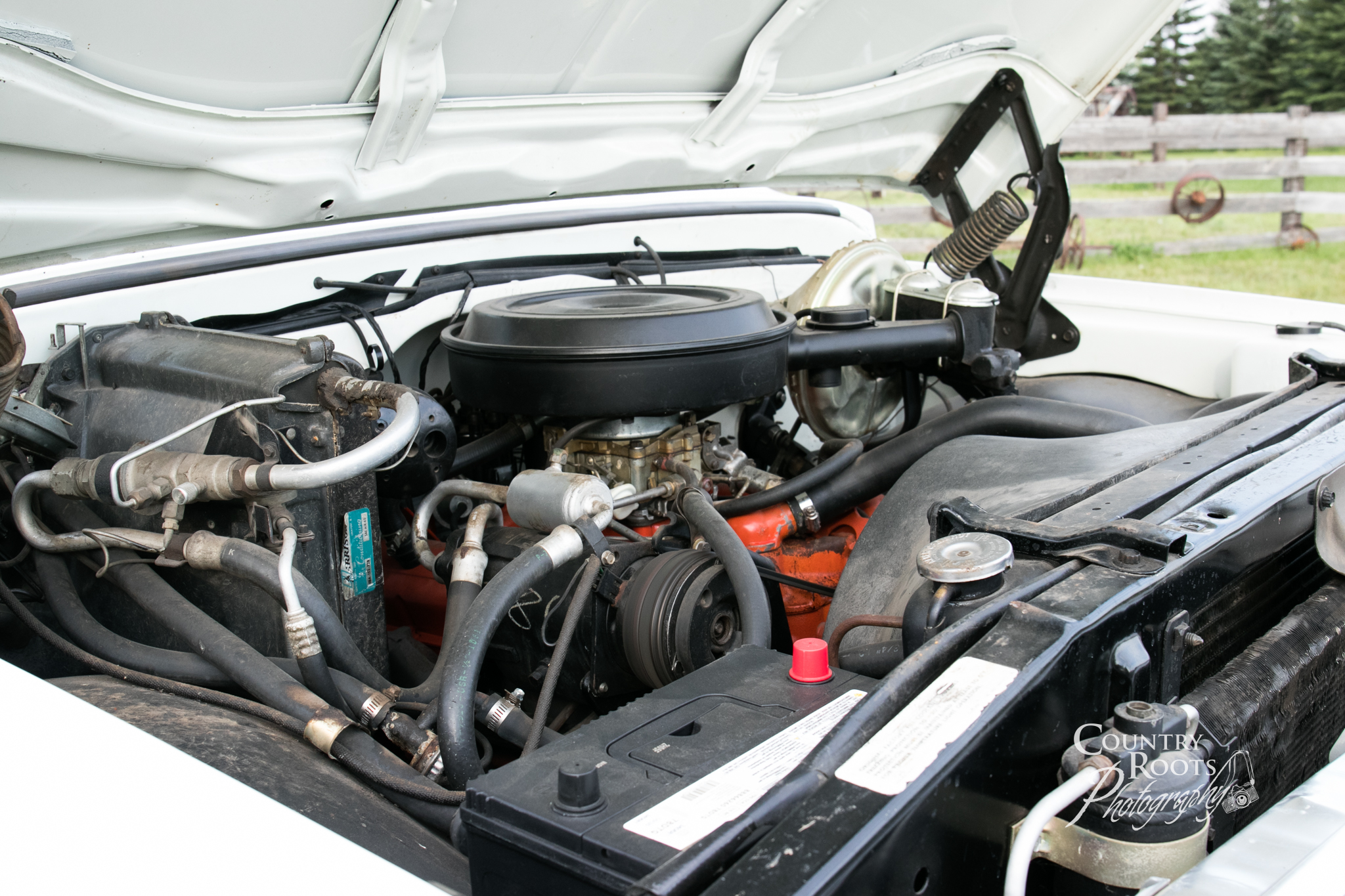 Sofie & the Blazer-9420