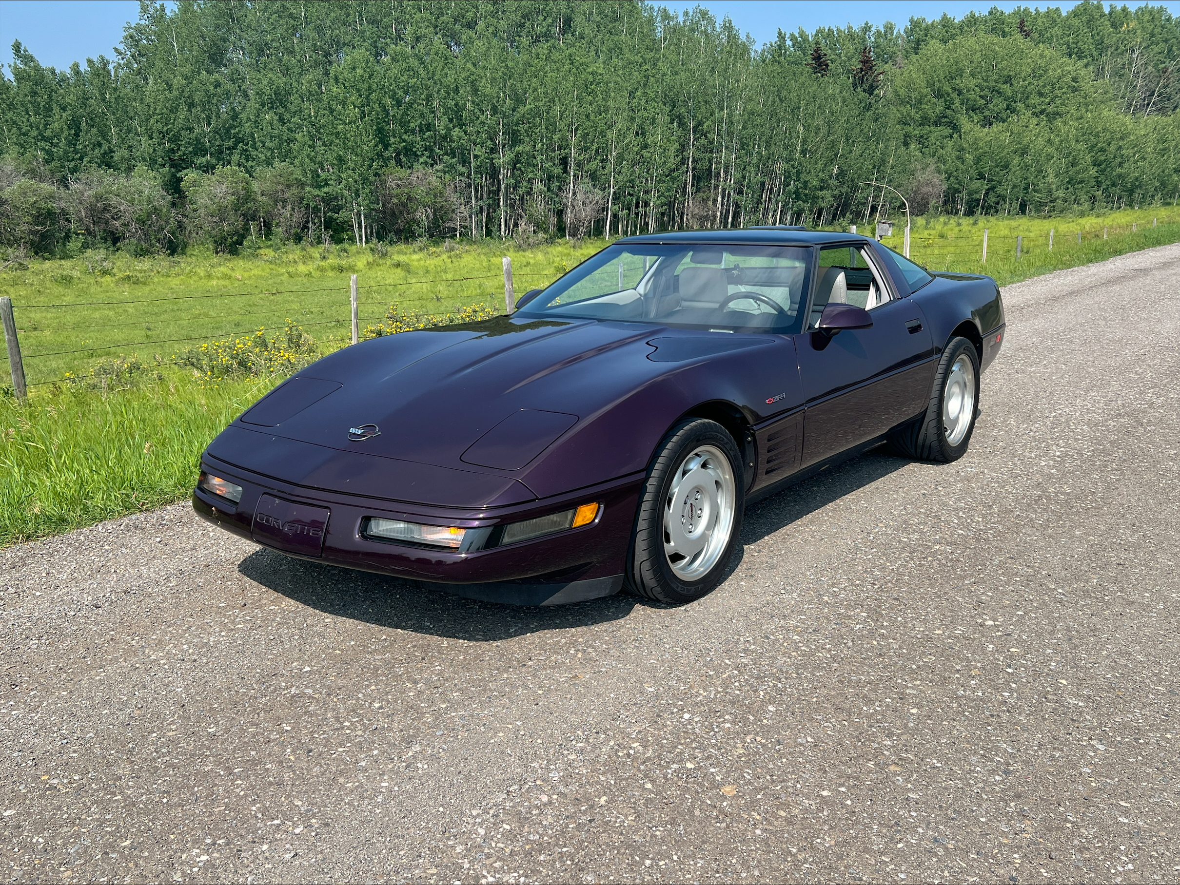 processed-551F7316-A061-4B93-BC5A-D0E3705B8E70-6941BF9E-01F6-460E-9942-304AD5048015