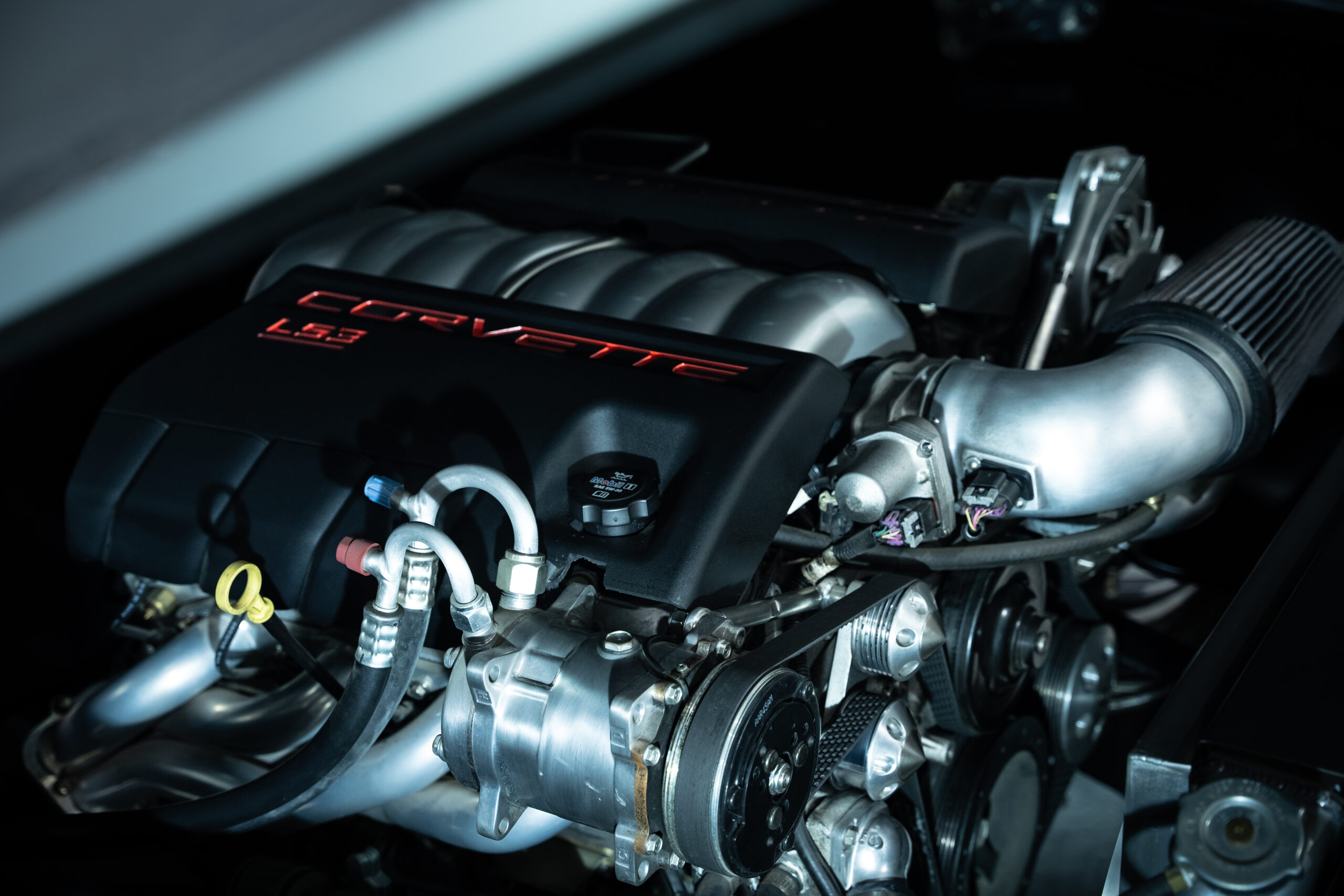 20240117-DSC08050 sean fillion 2024-01-17