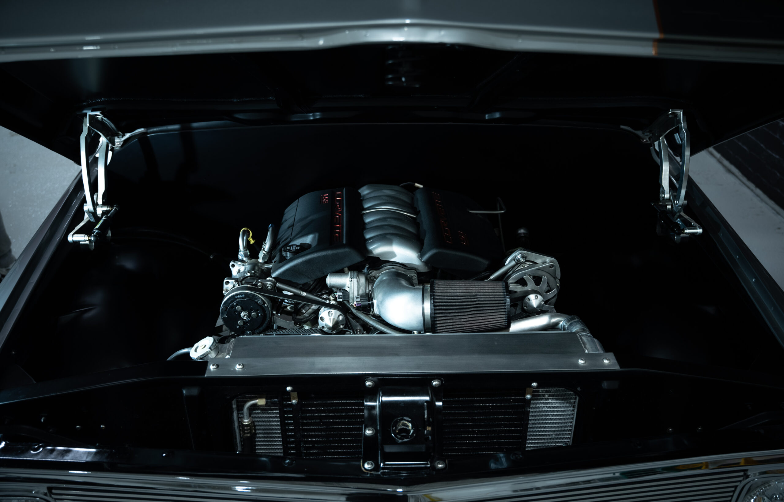 20240117-DSC08051 sean fillion 2024-01-17