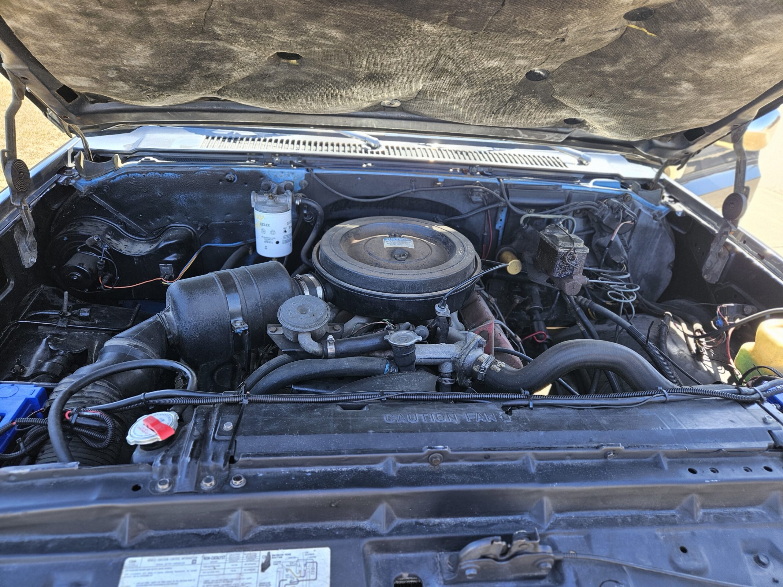 20240420_144907 Mark Peterson 2024-04-20 (1)