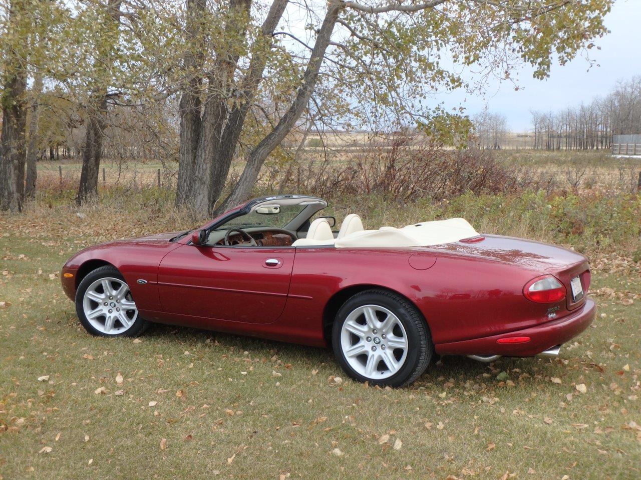 PA107038 Alastair Gibson 2024-04-23