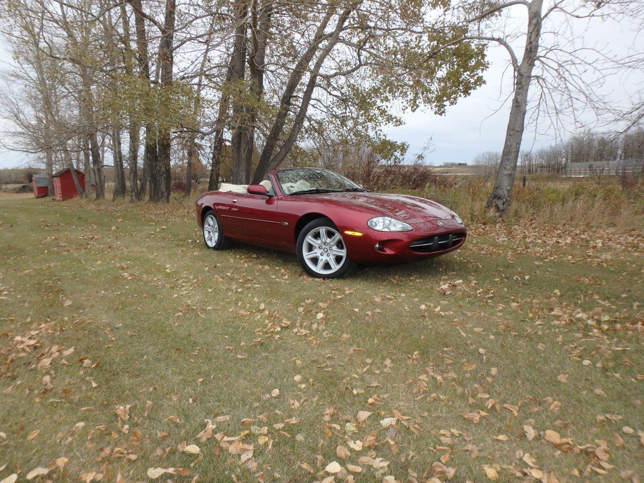 PA107038.1 Alastair Gibson 2024-04-23