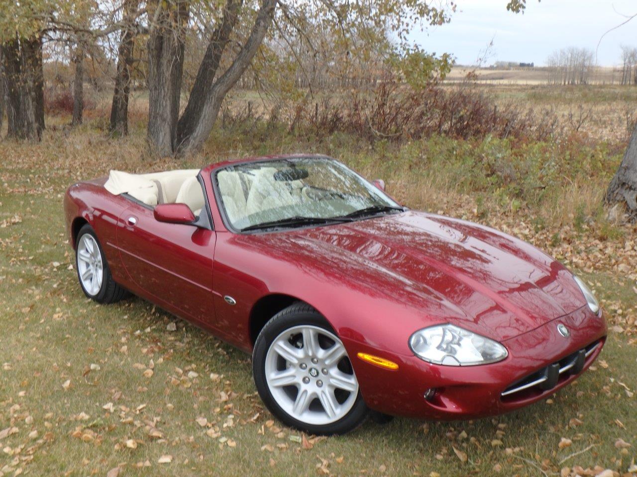 PA107038.3 Alastair Gibson 2024-04-23