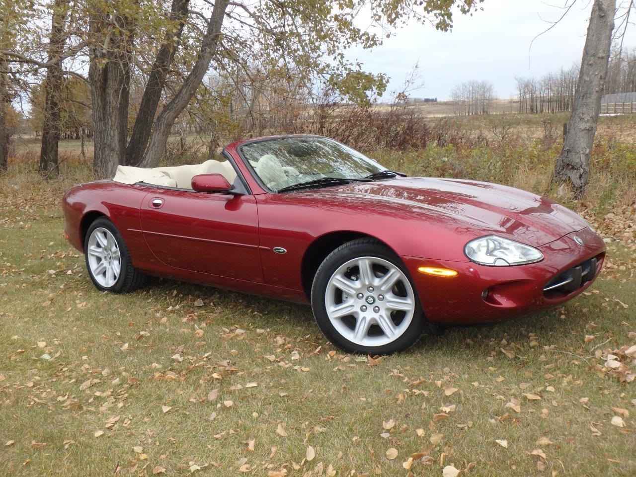 PA107038.4 Alastair Gibson 2024-04-23