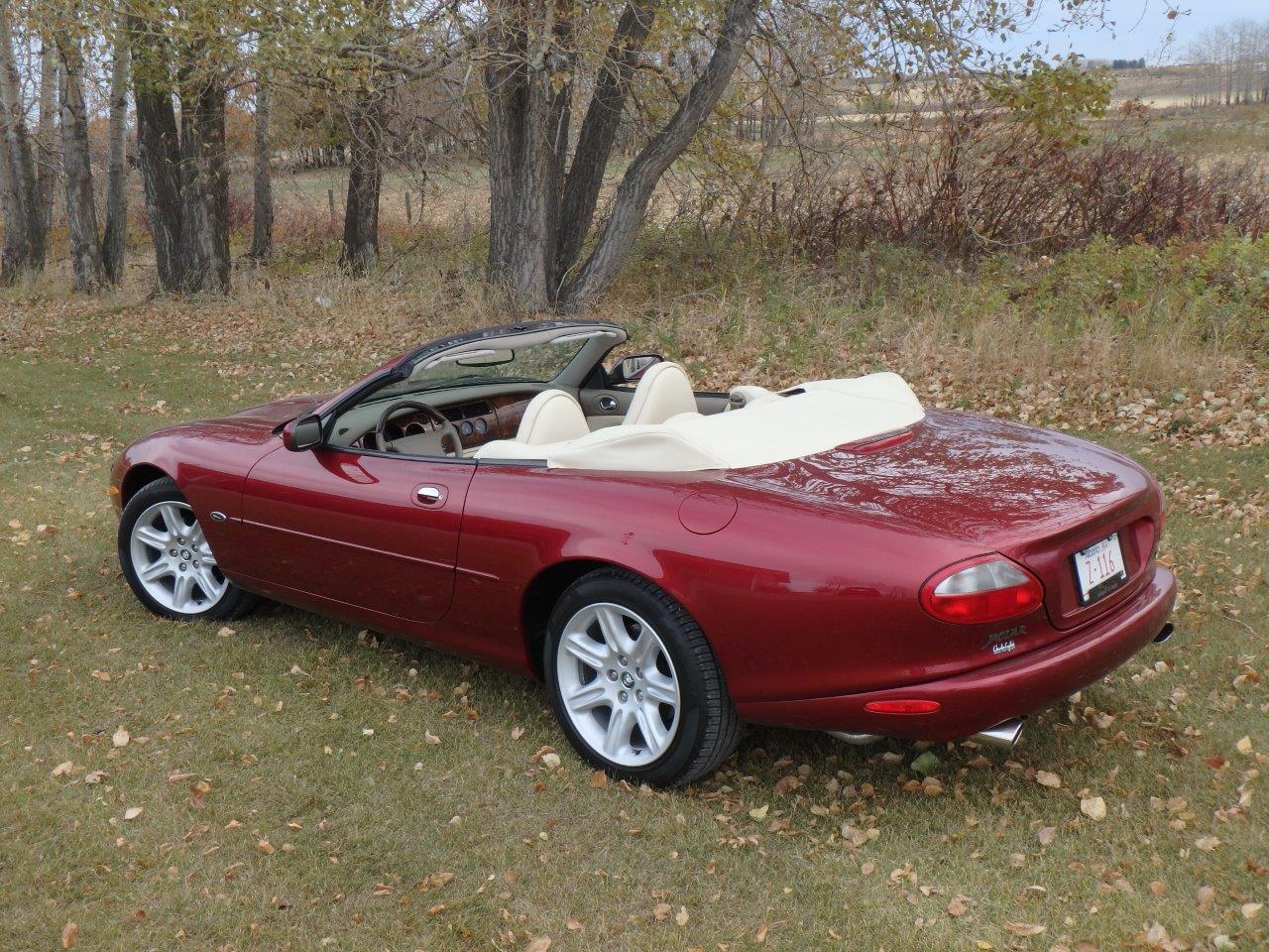 PA107039 Alastair Gibson 2024-04-23